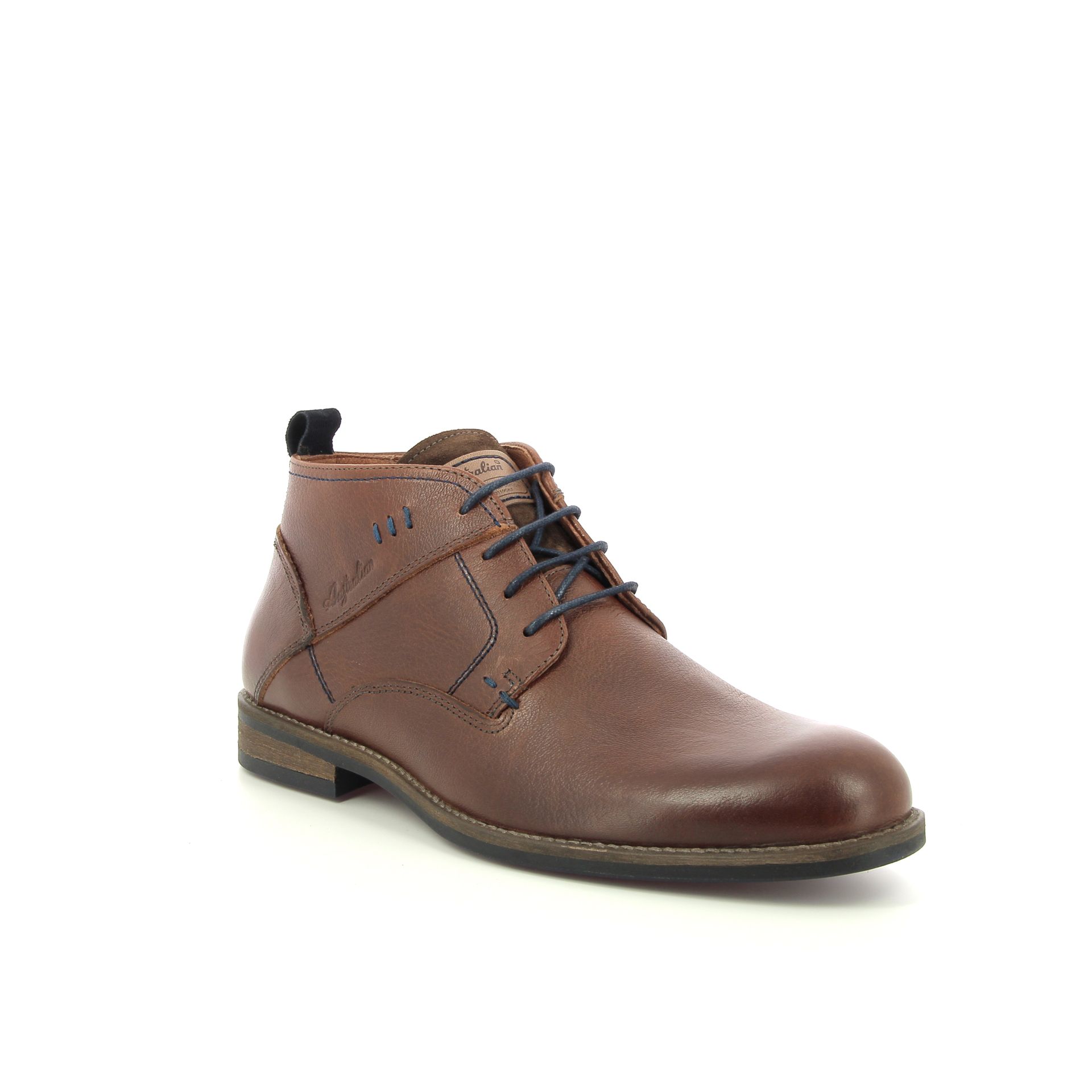 Australian Maine 257976 cognac