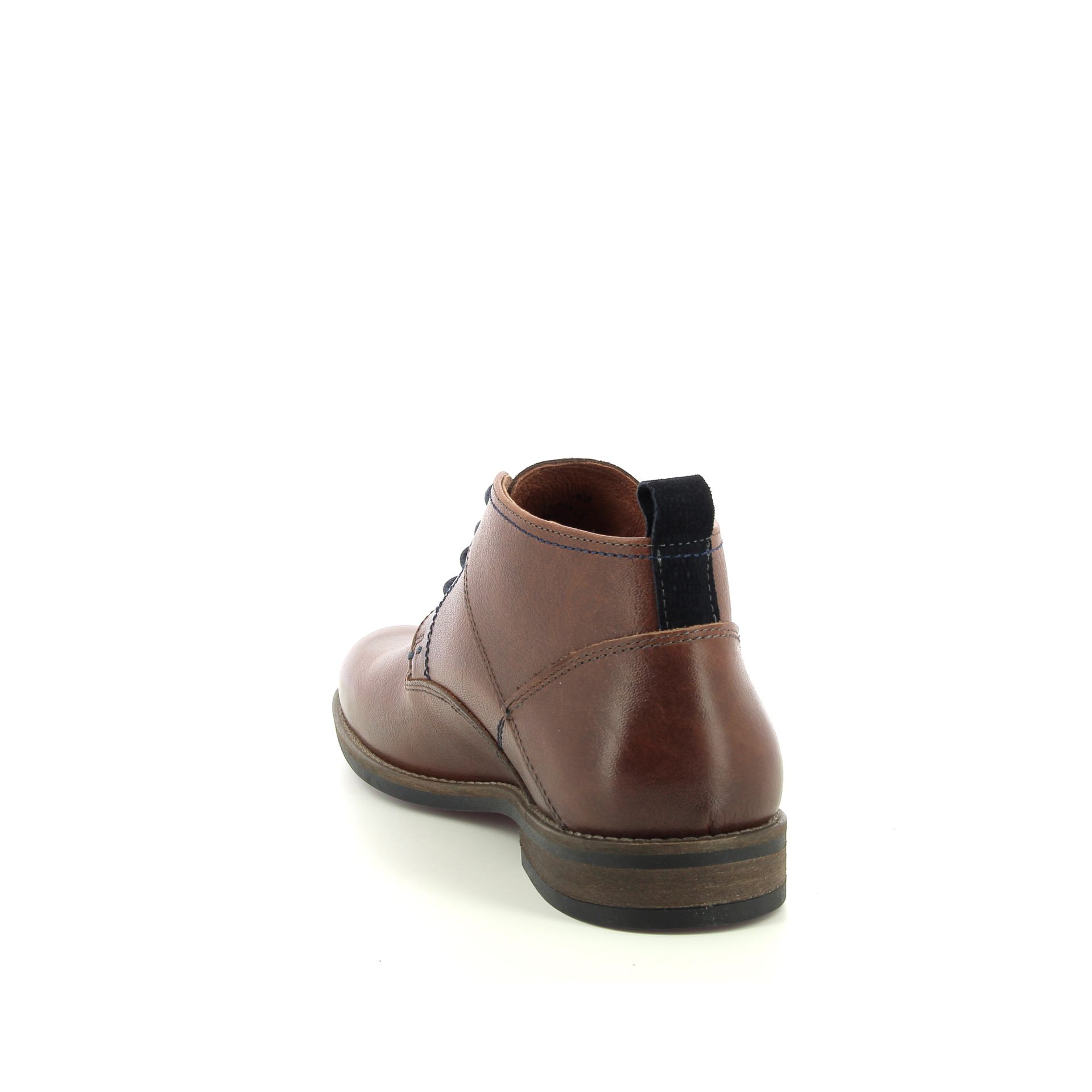 Australian Maine 257976 cognac