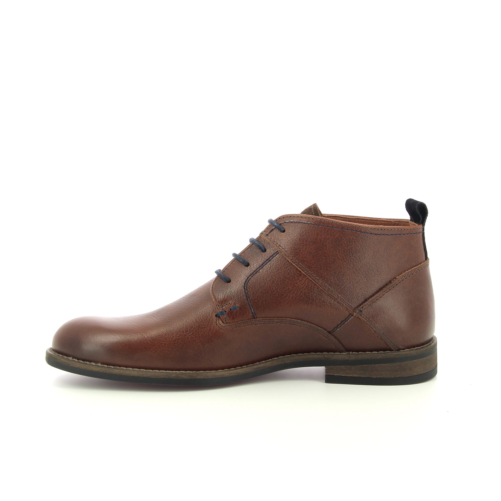 Australian Maine 257976 cognac