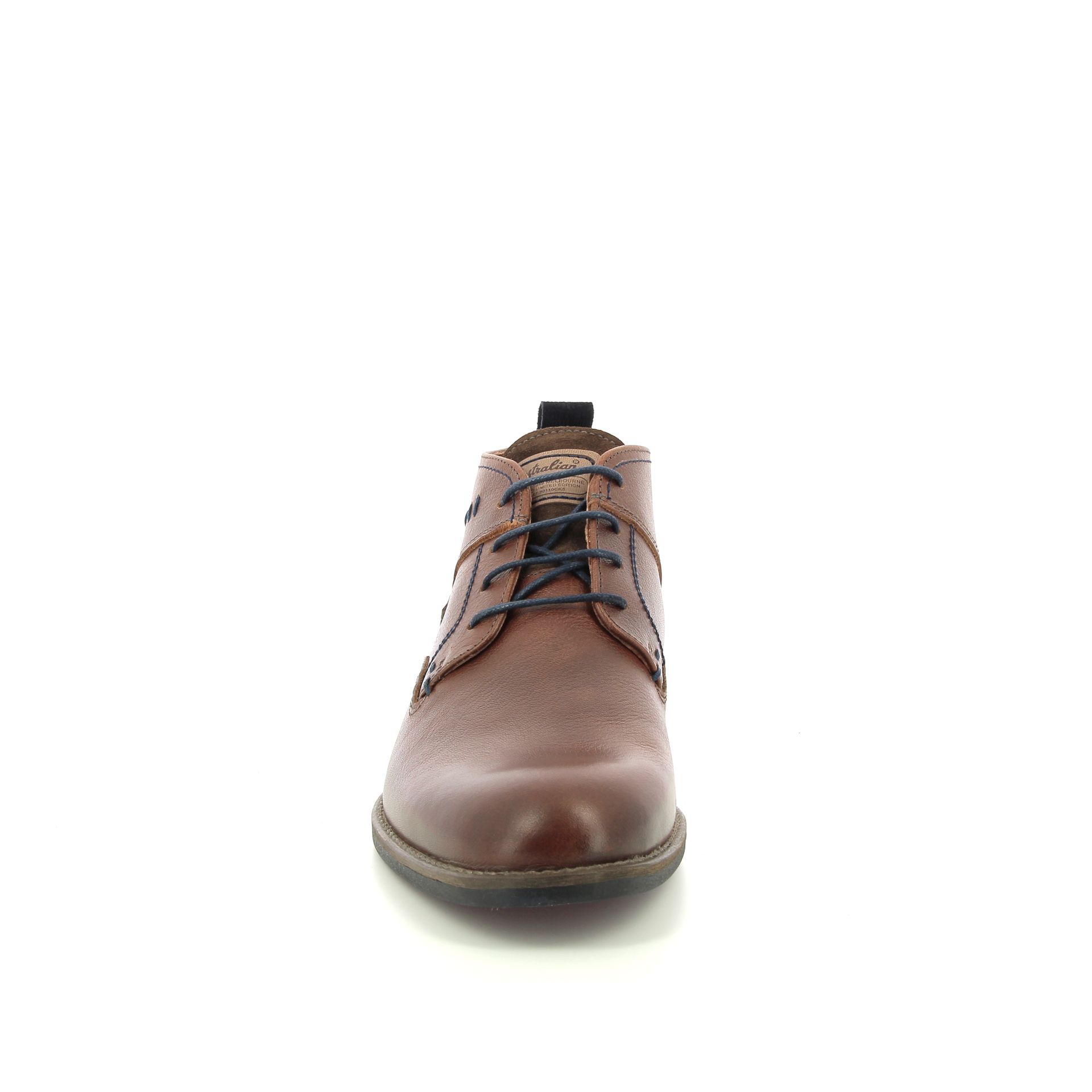 Australian Maine 257976 cognac