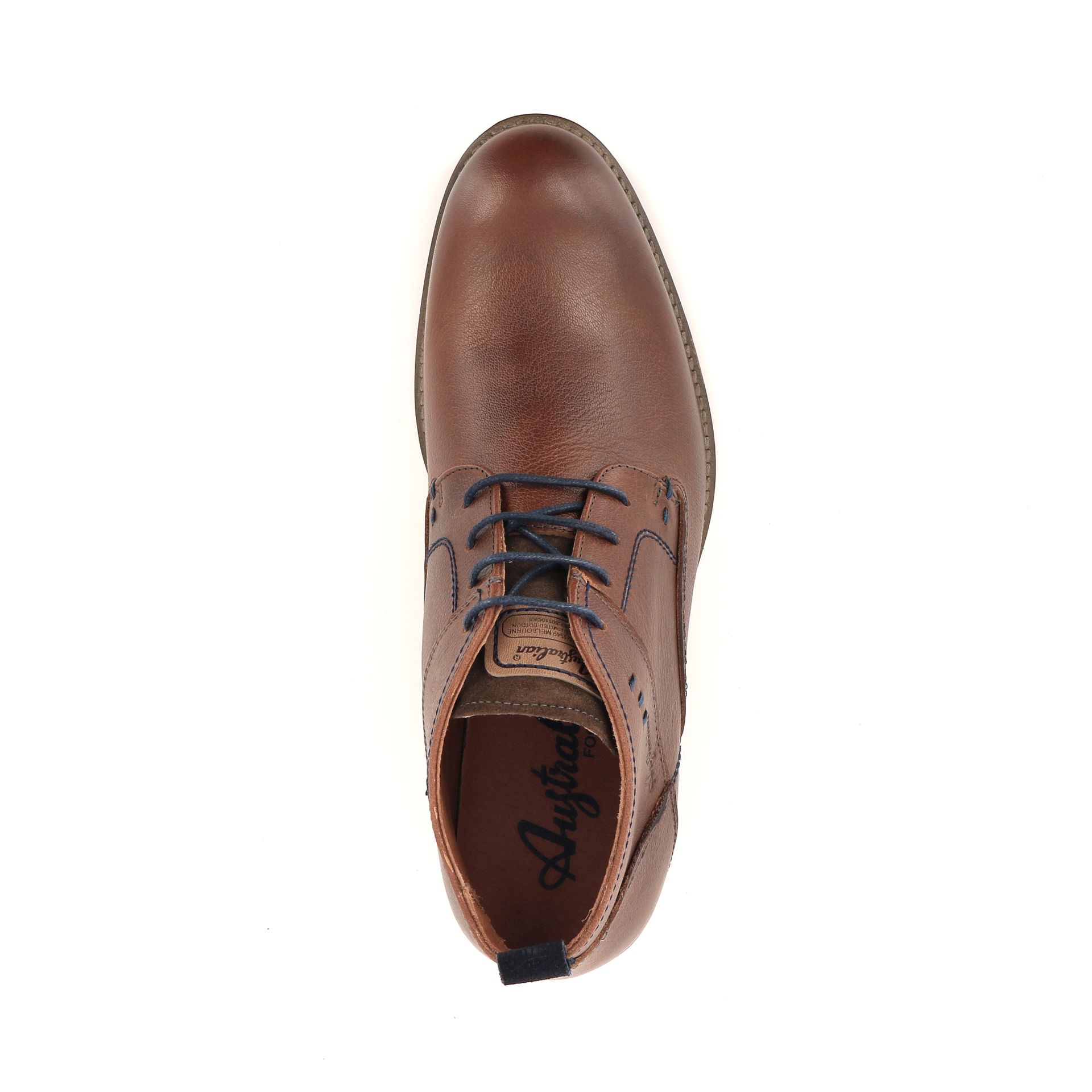 Australian Maine 257976 cognac
