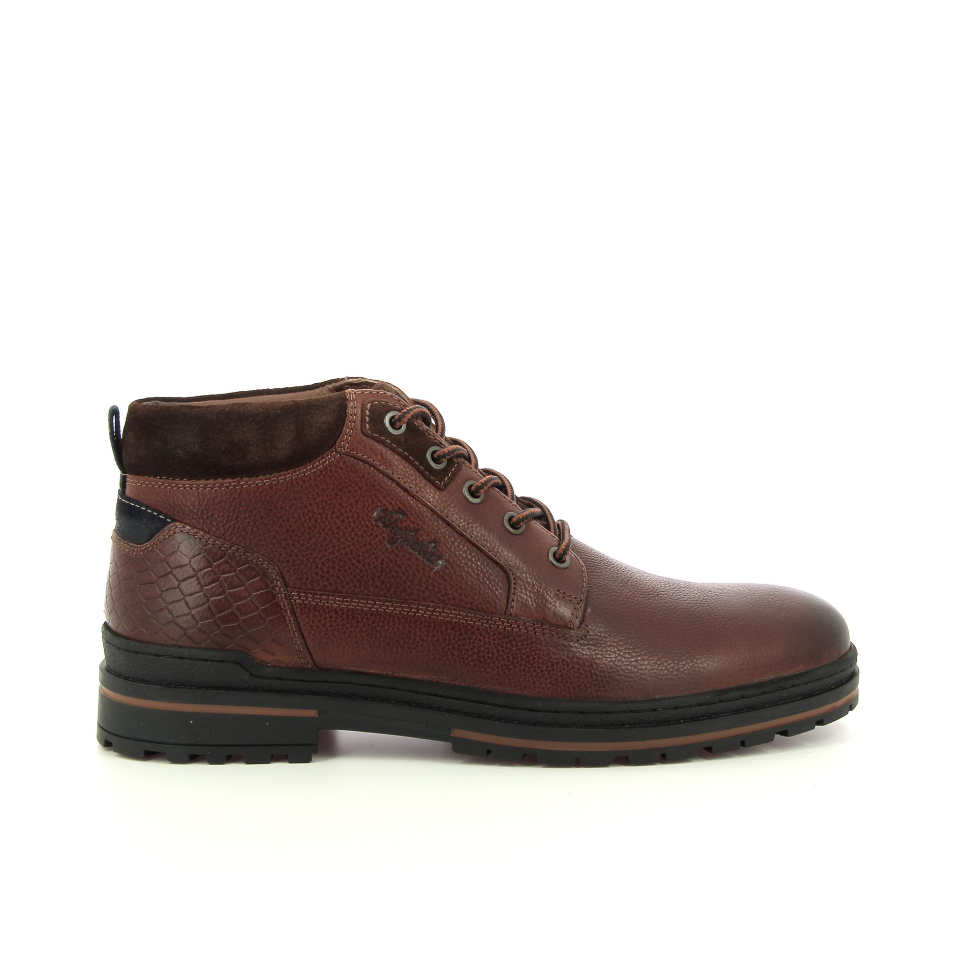 Australian Middelburg 257978 cognac