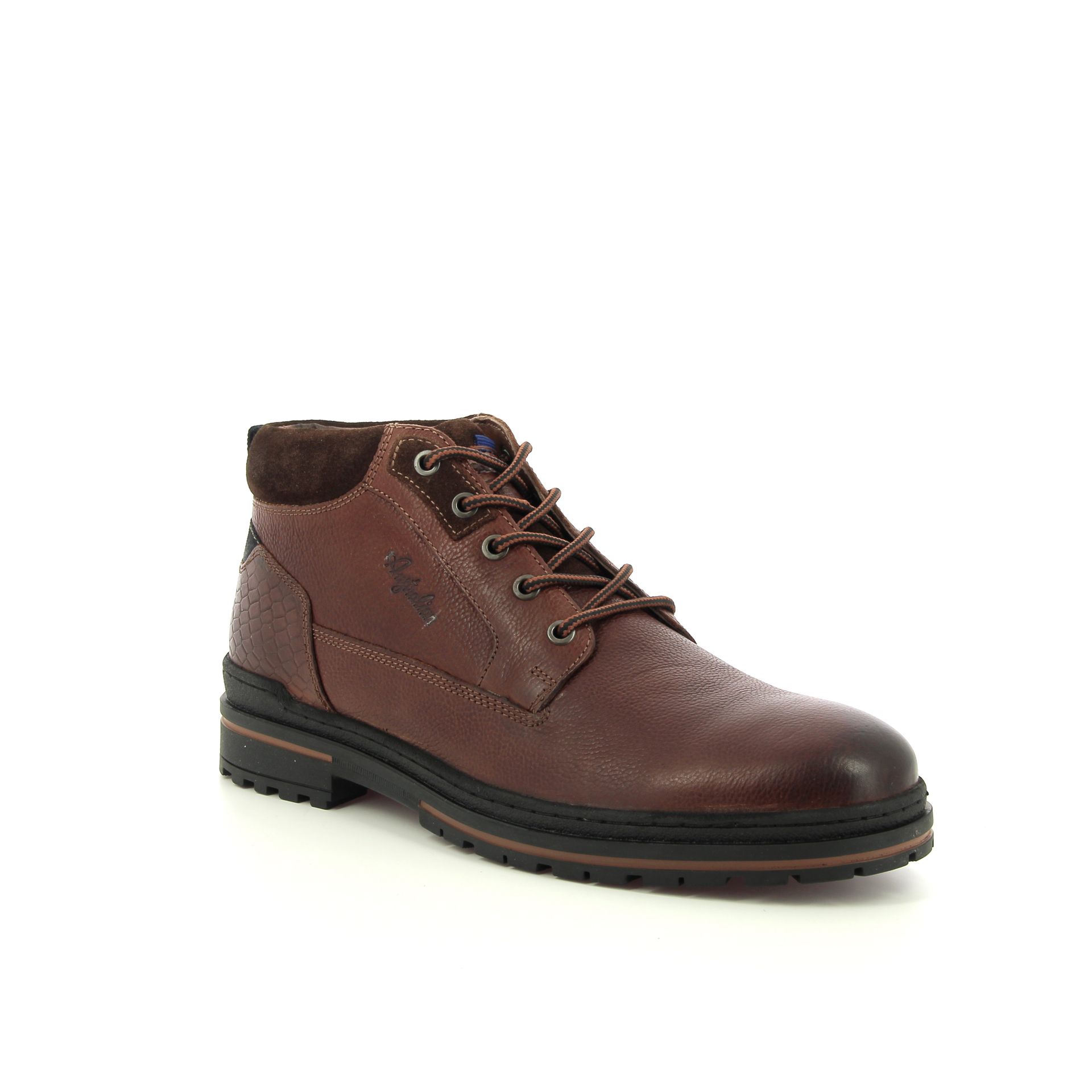 Australian Middelburg 257978 cognac