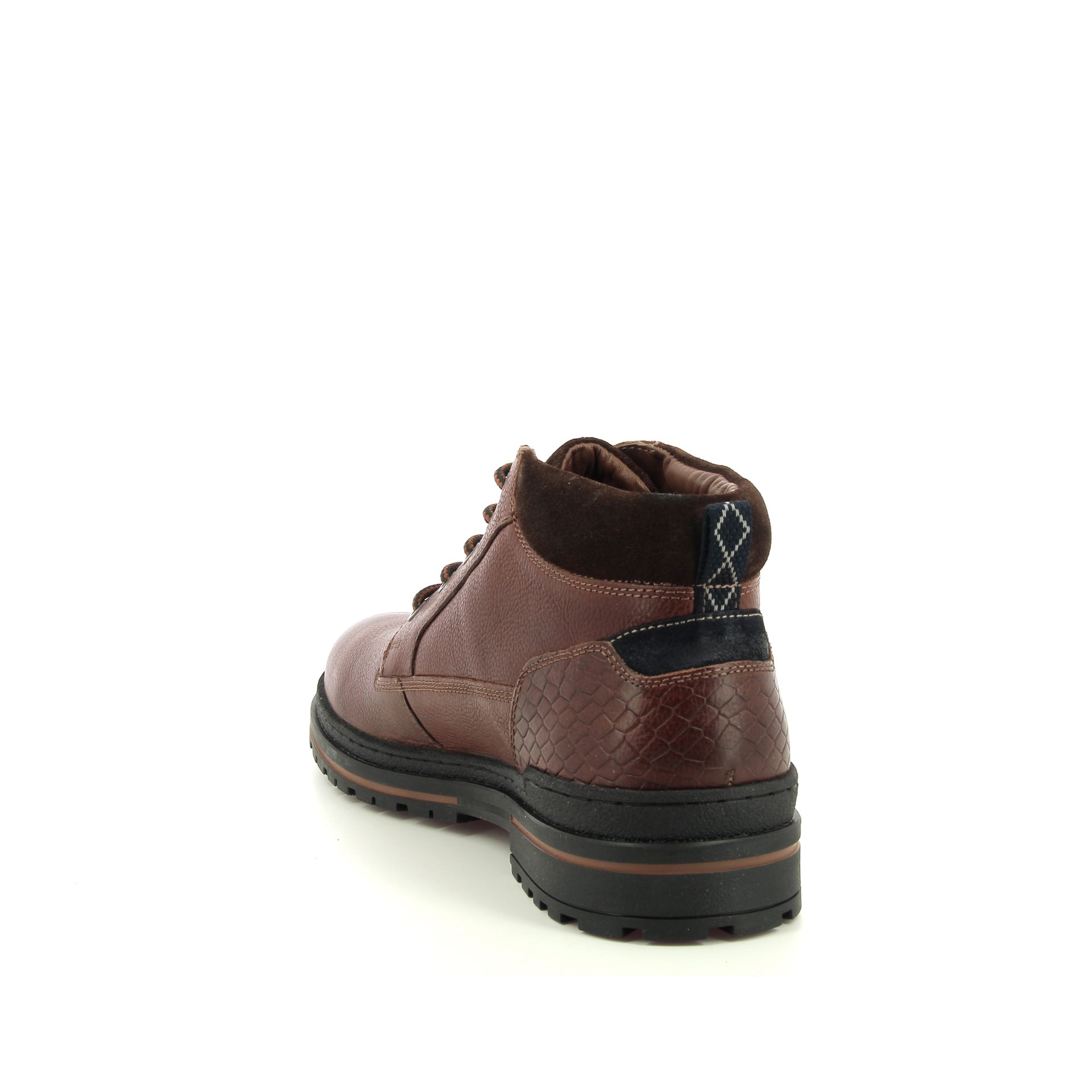 Australian Middelburg 257978 cognac