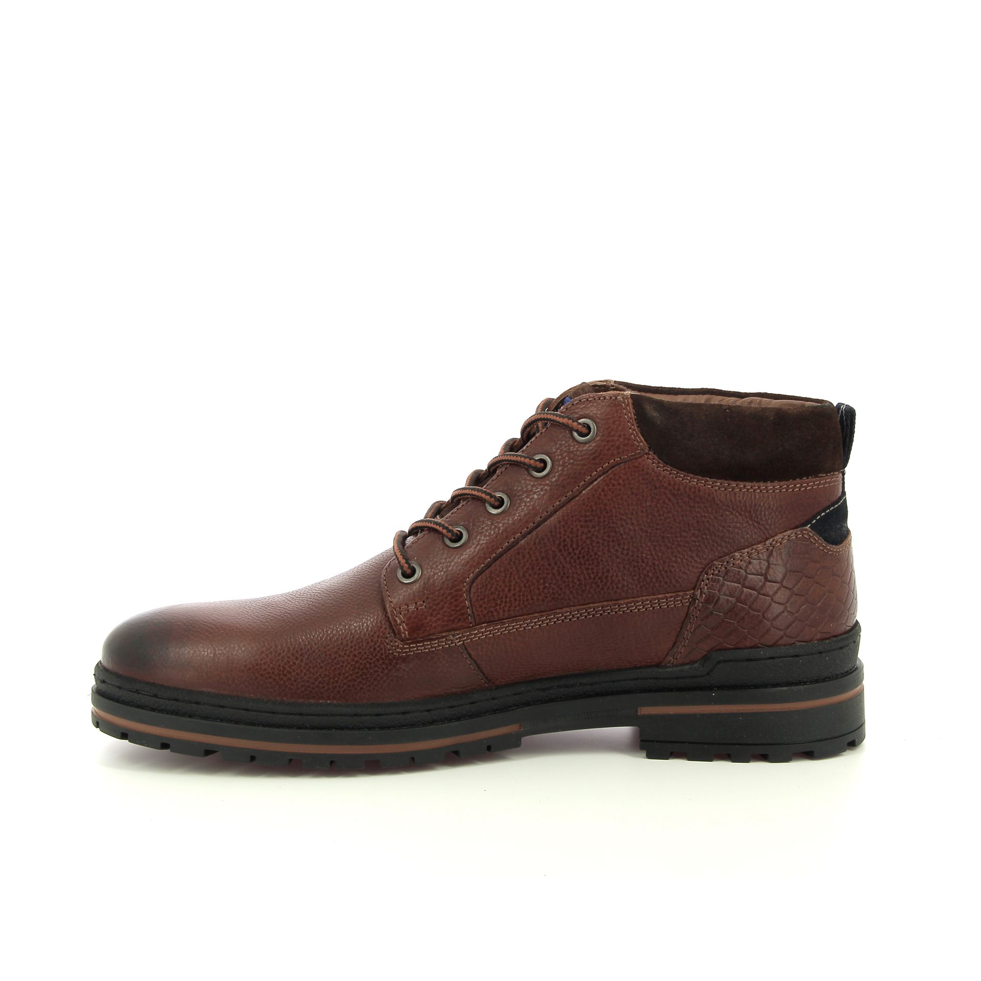 Australian Middelburg 257978 cognac