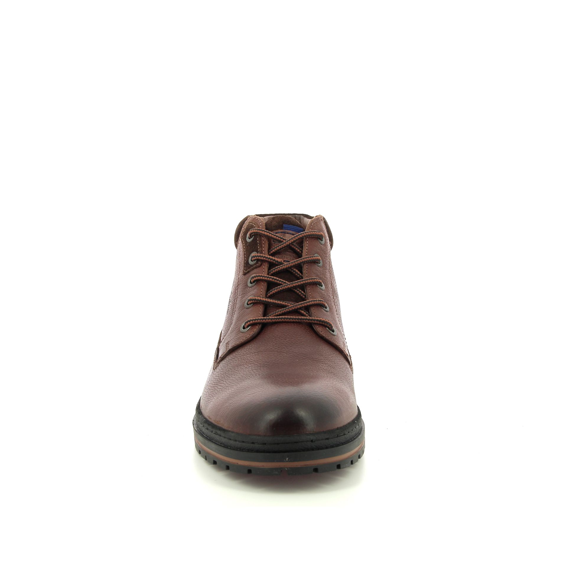 Australian Middelburg 257978 cognac