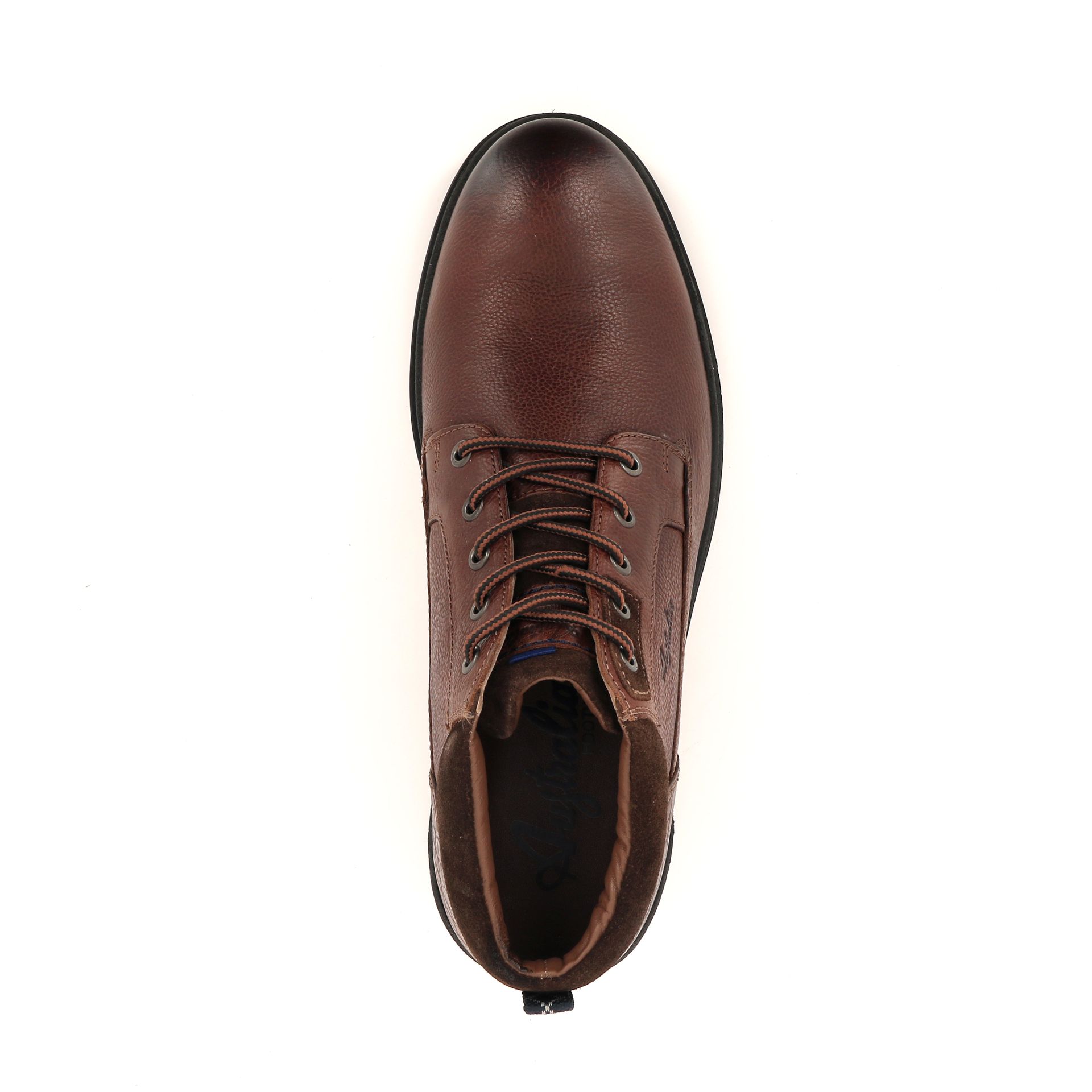 Australian Middelburg 257978 cognac