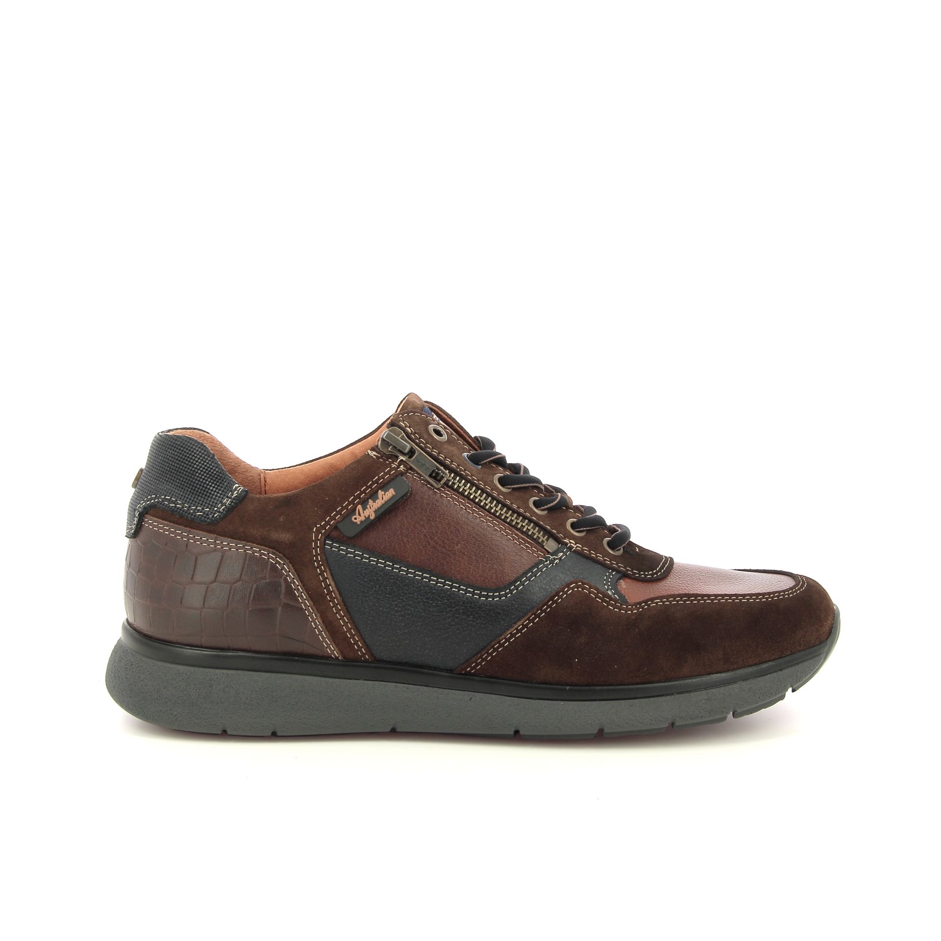 Australian Dakota 257981 cognac