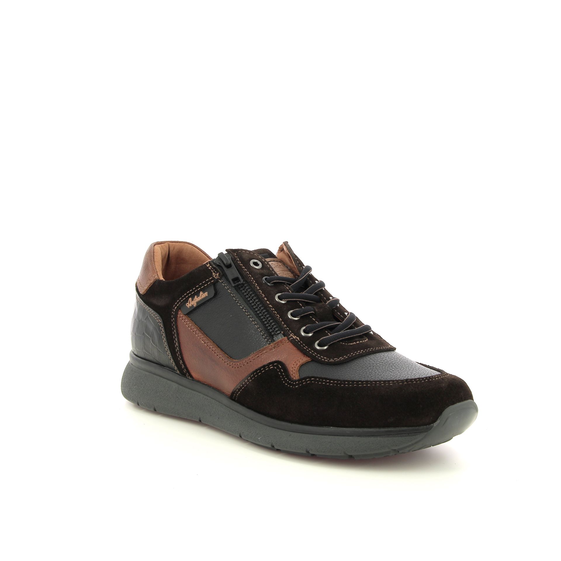 Australian Dakota 257982 bruin