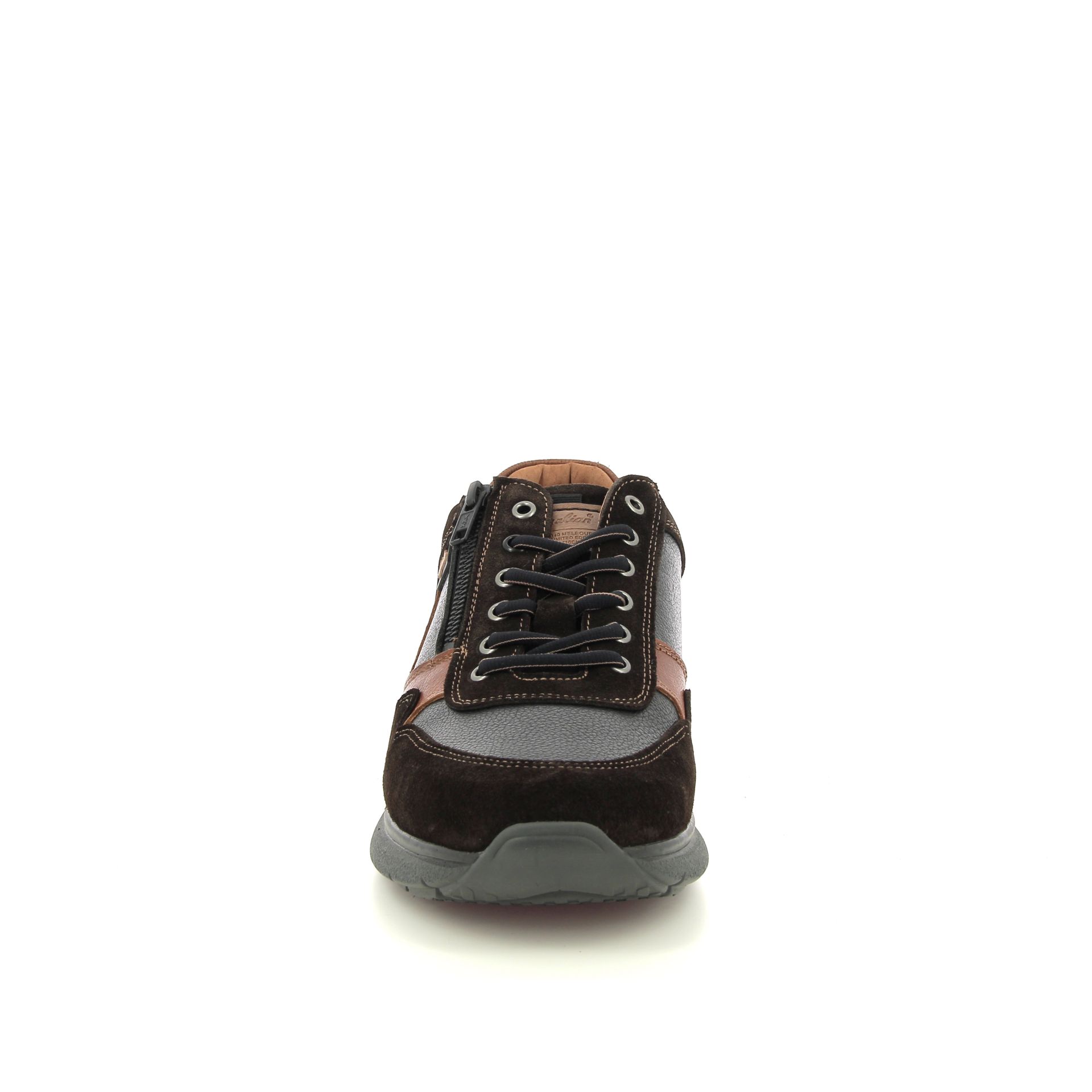 Australian Dakota 257982 bruin