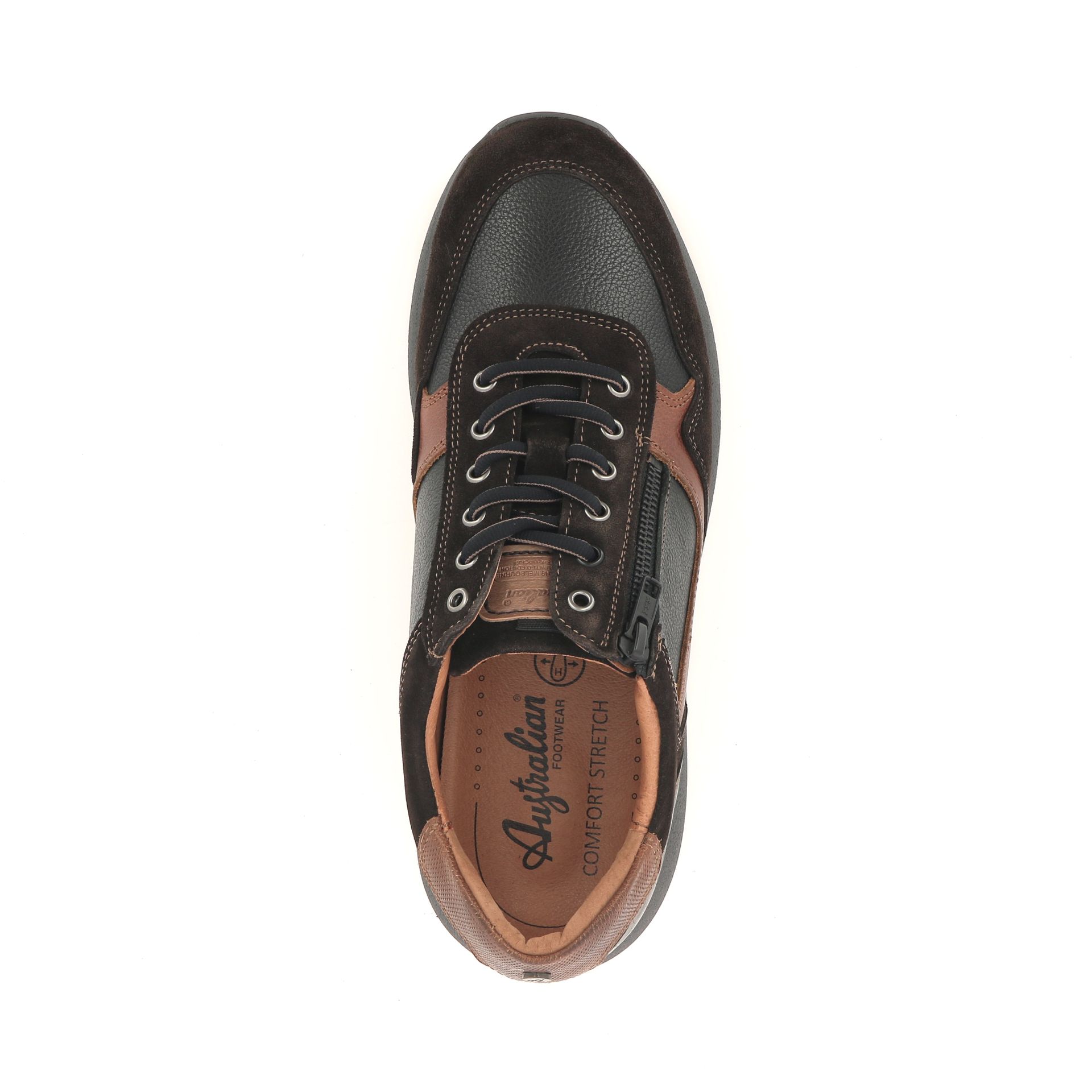 Australian Dakota 257982 bruin