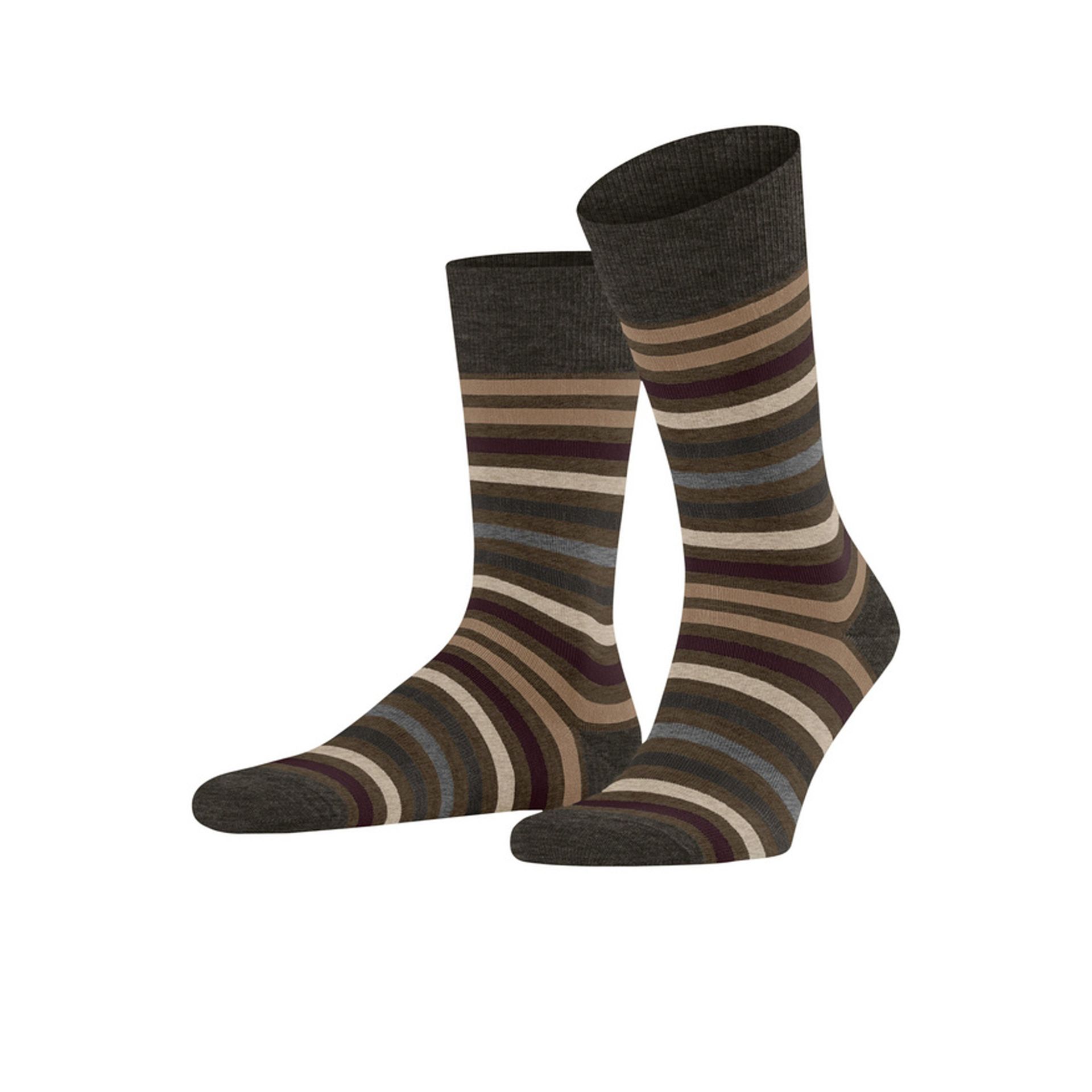 Falke Tinted Stripe Beech 258215 bruin