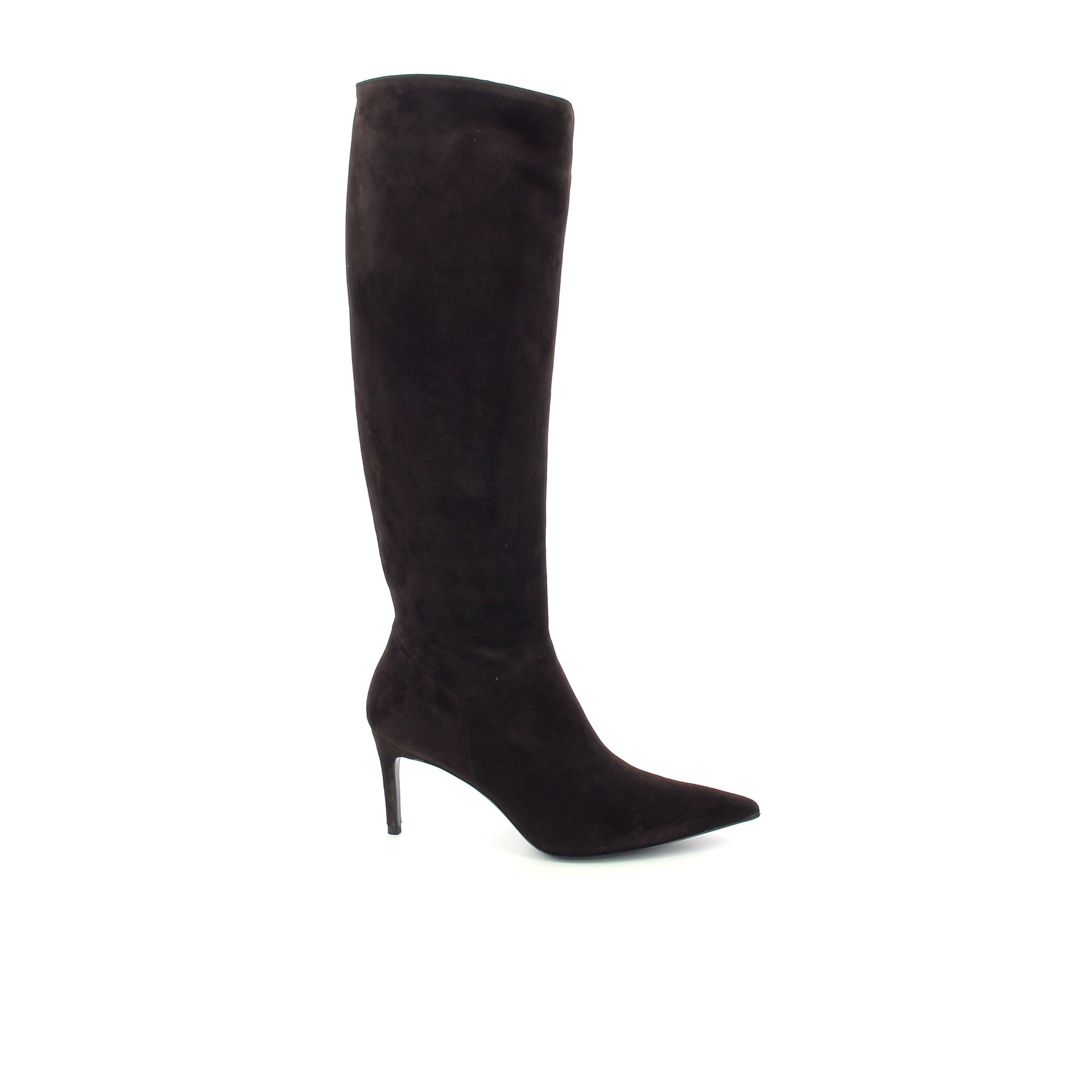 Guglielmo Rotta Alie 258230 bruin