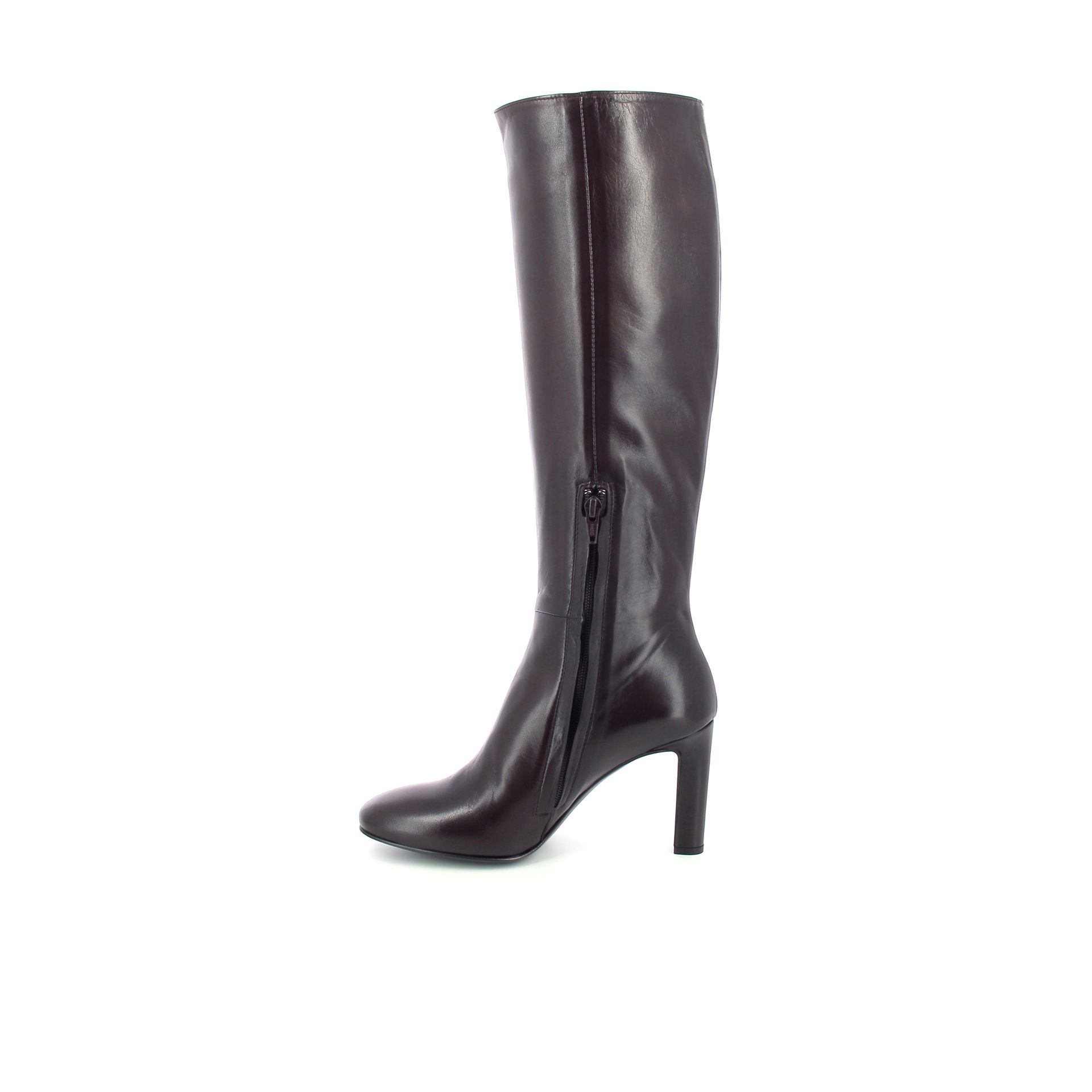 Guglielmo Rotta Shay 258233 bruin