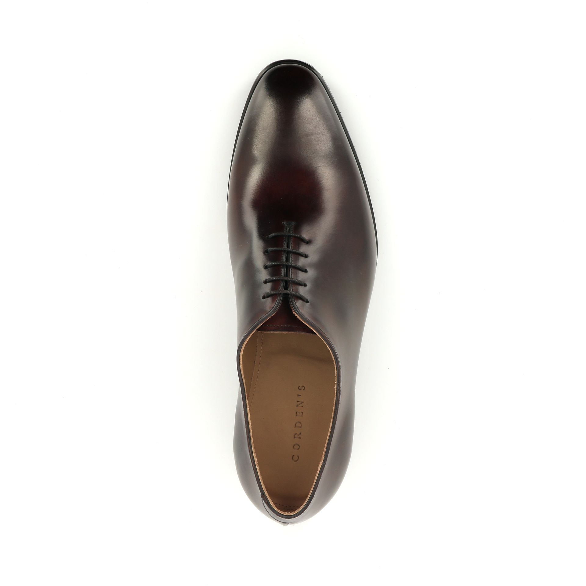 Corden's Grosvenor 258239 bruin