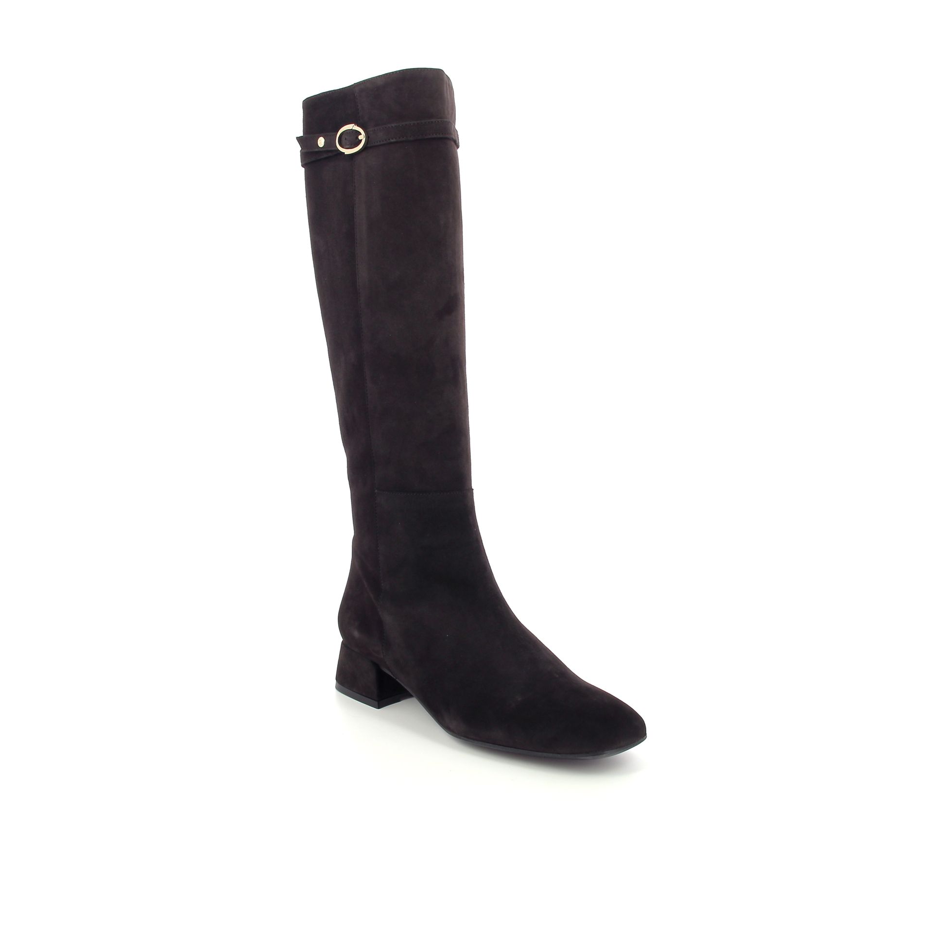 Pedro Miralles Laars 258271 bruin