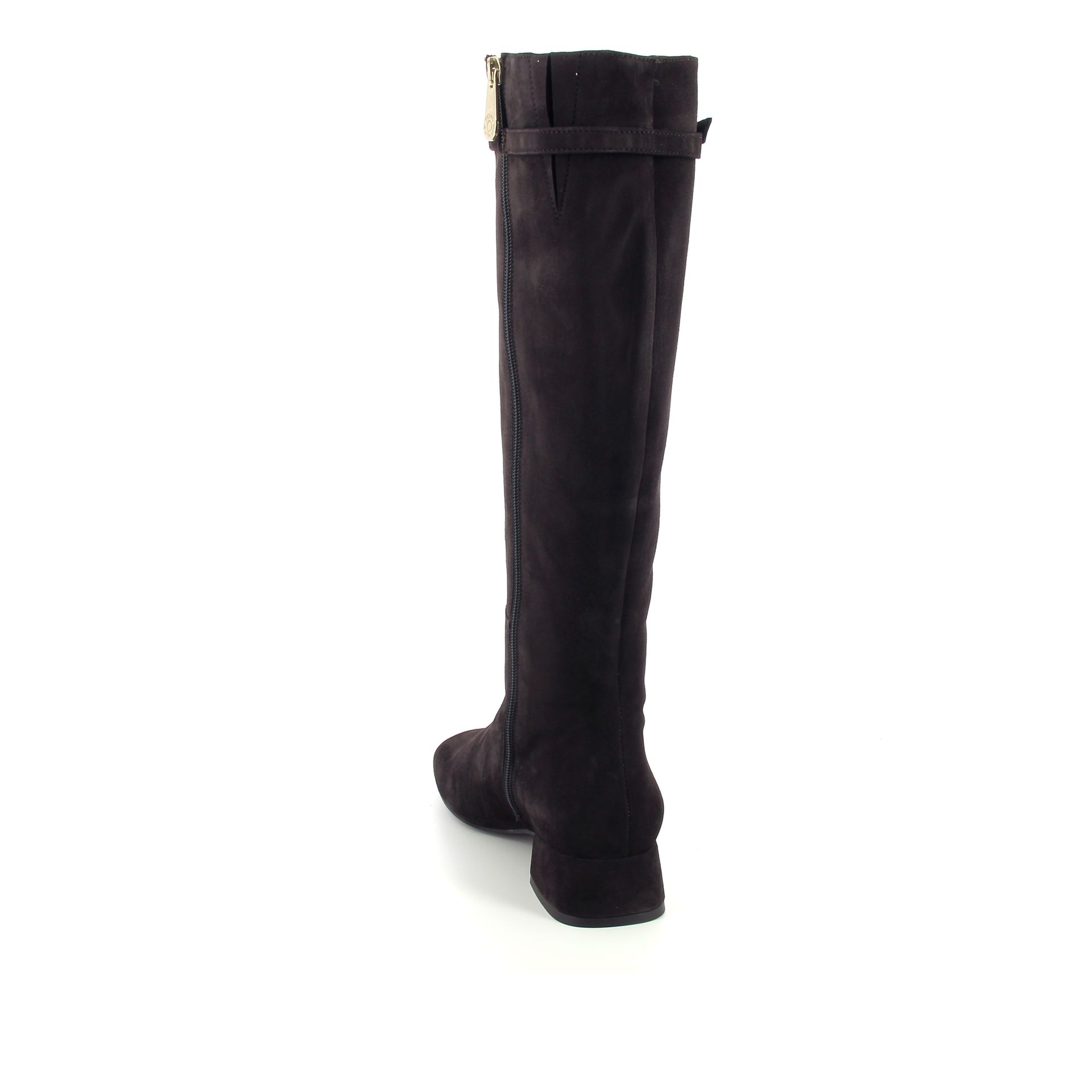 Pedro Miralles Laars 258271 bruin