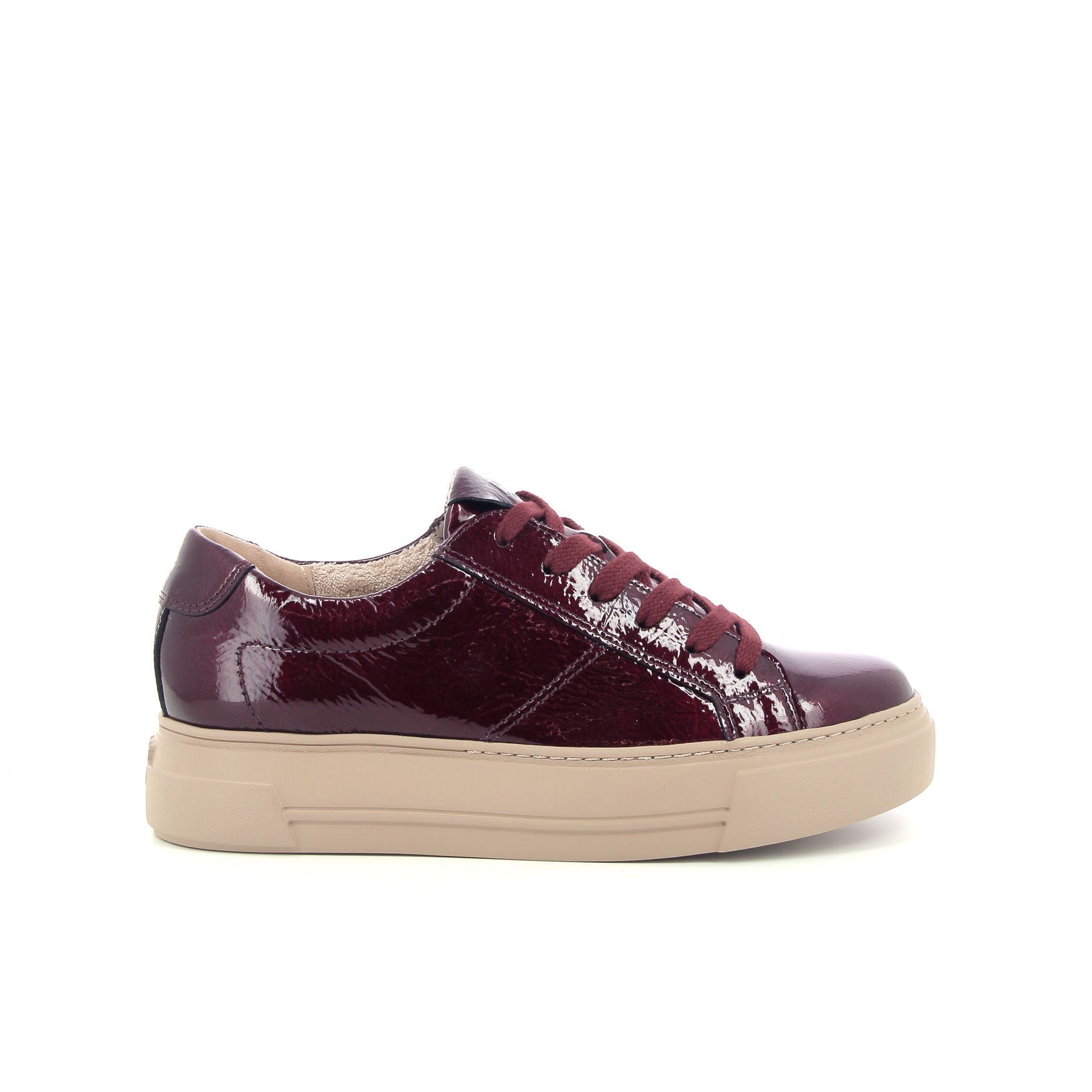 Paul Green Sneaker 258309 rood