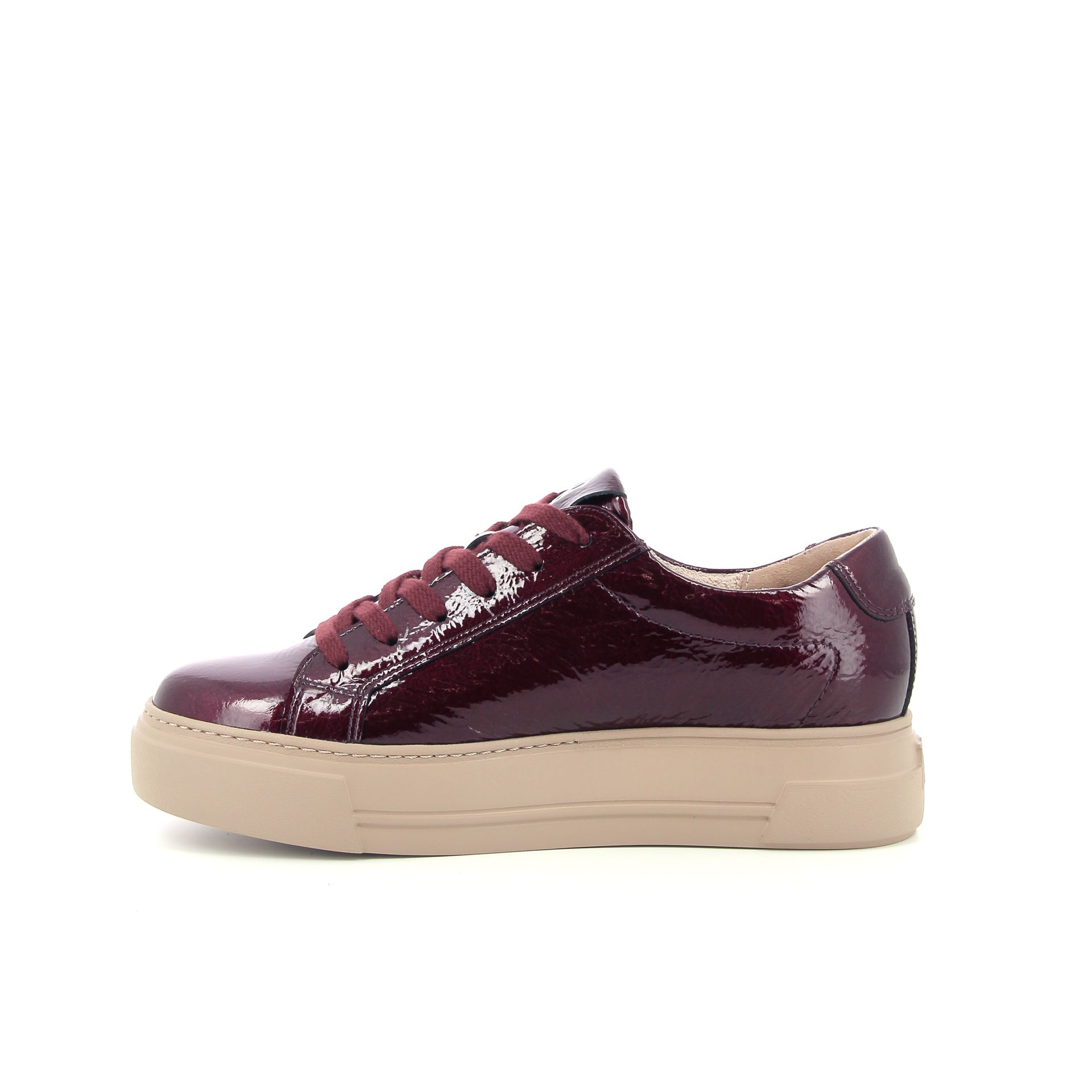 Paul Green Sneaker 258309 rood