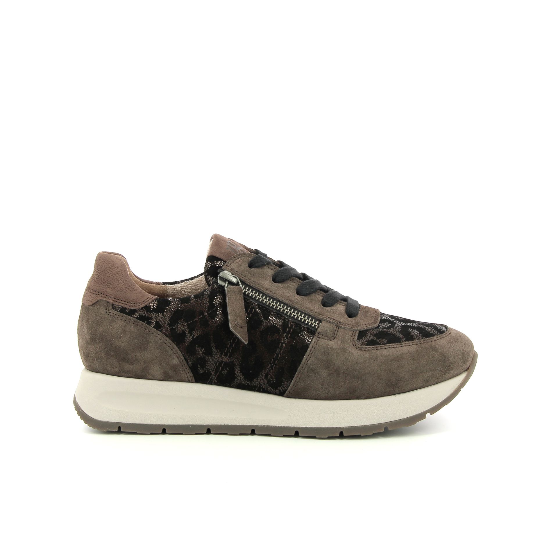 Paul Green Sneaker 258313 bruin