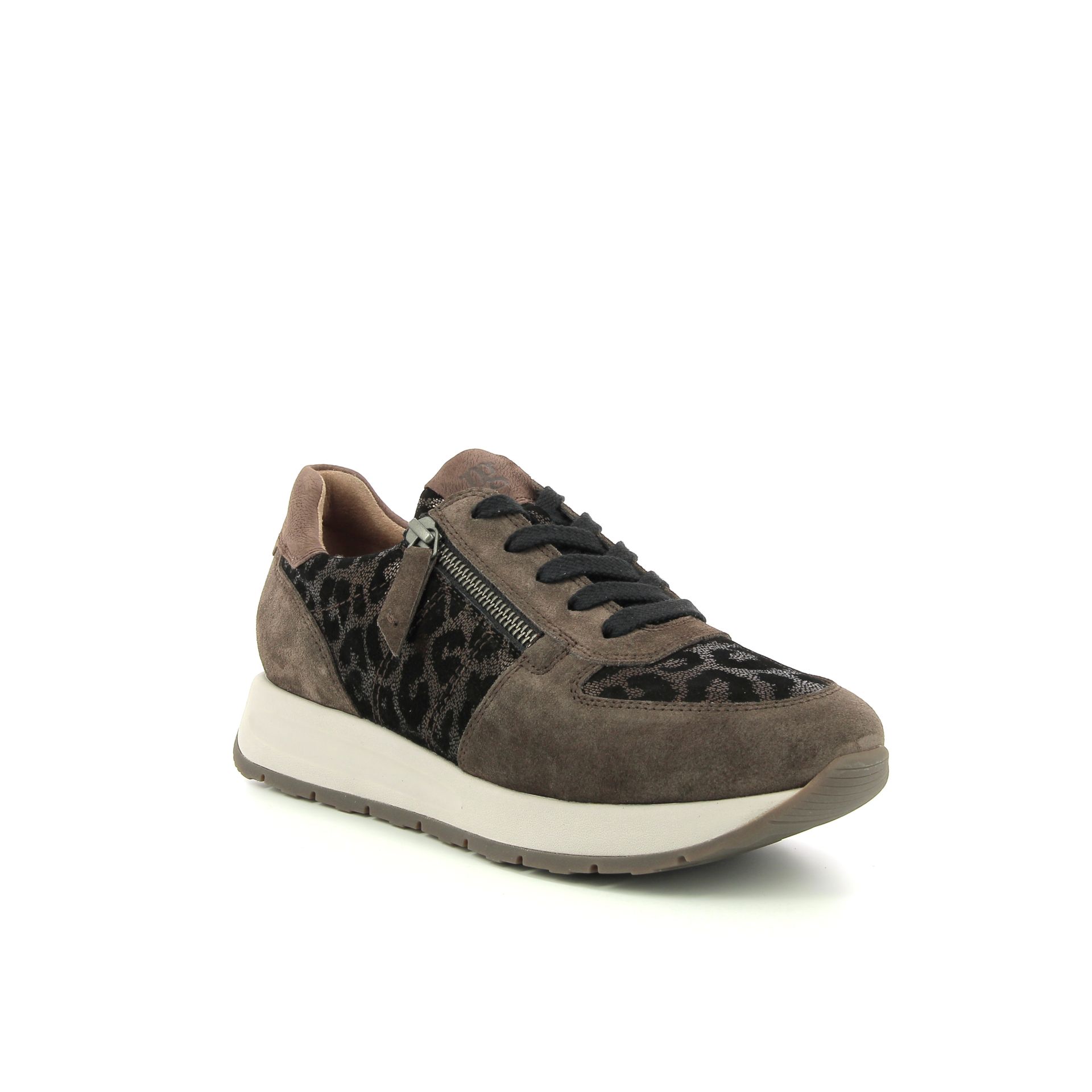 Paul Green Sneaker 258313 bruin