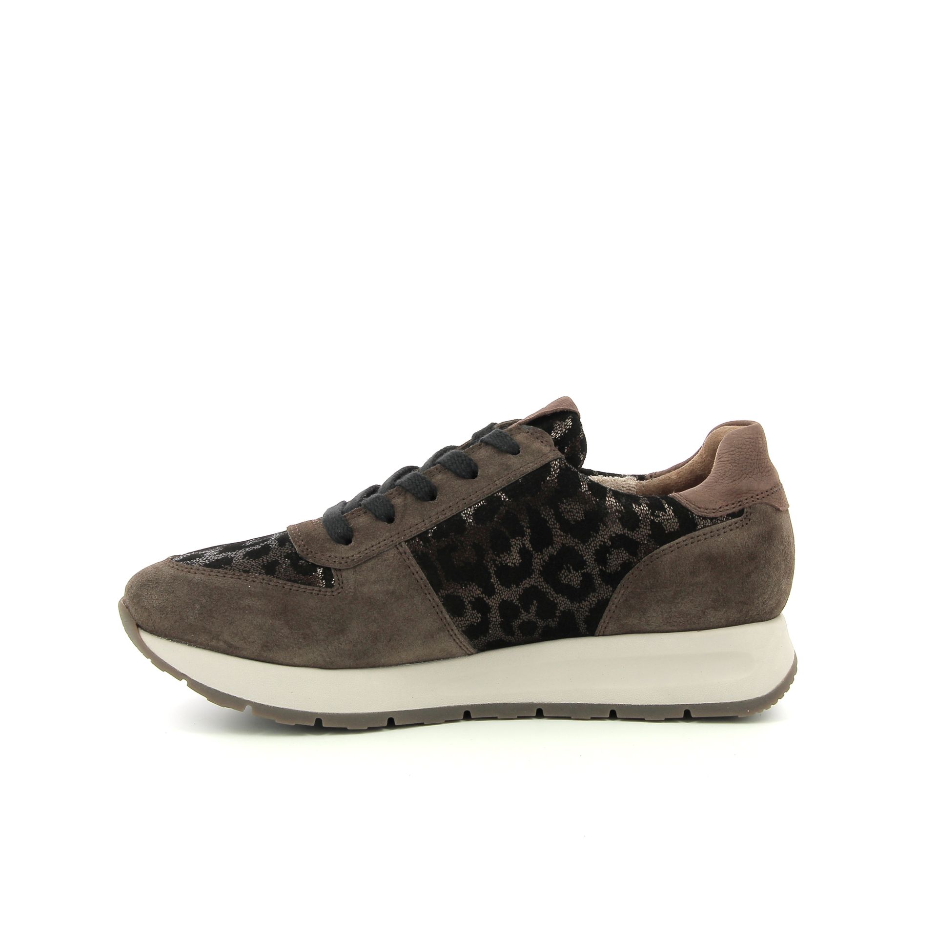 Paul Green Sneaker 258313 bruin