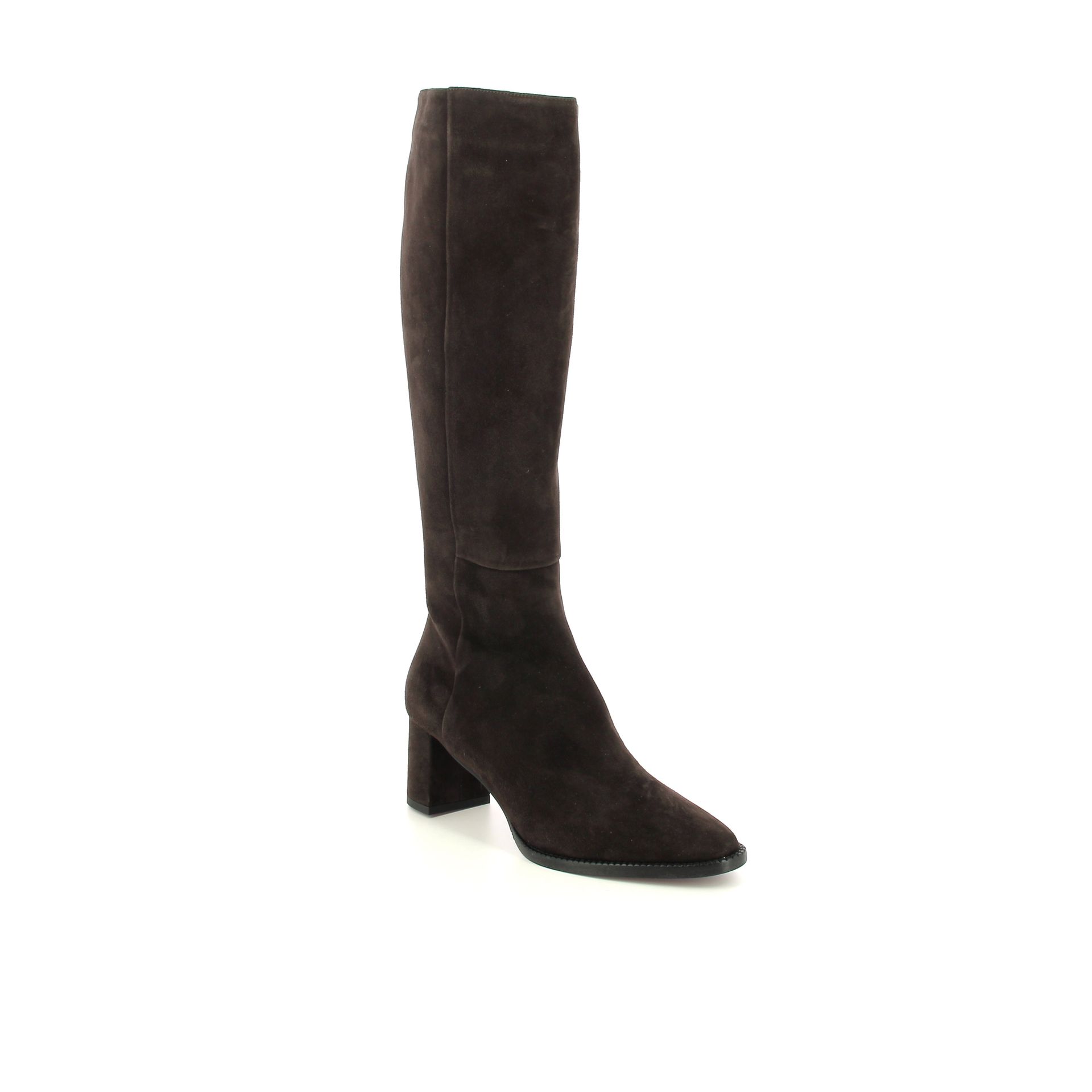 Giorgio M. Laars 258387 bruin