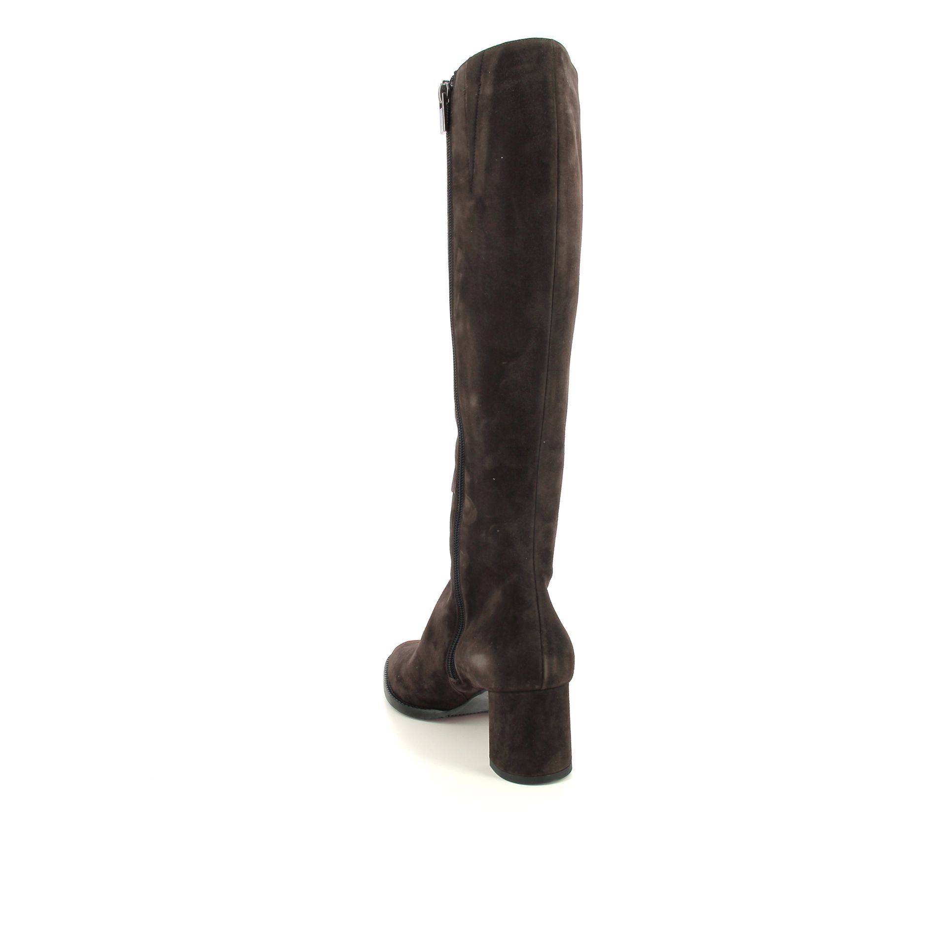 Giorgio M. Laars 258387 bruin