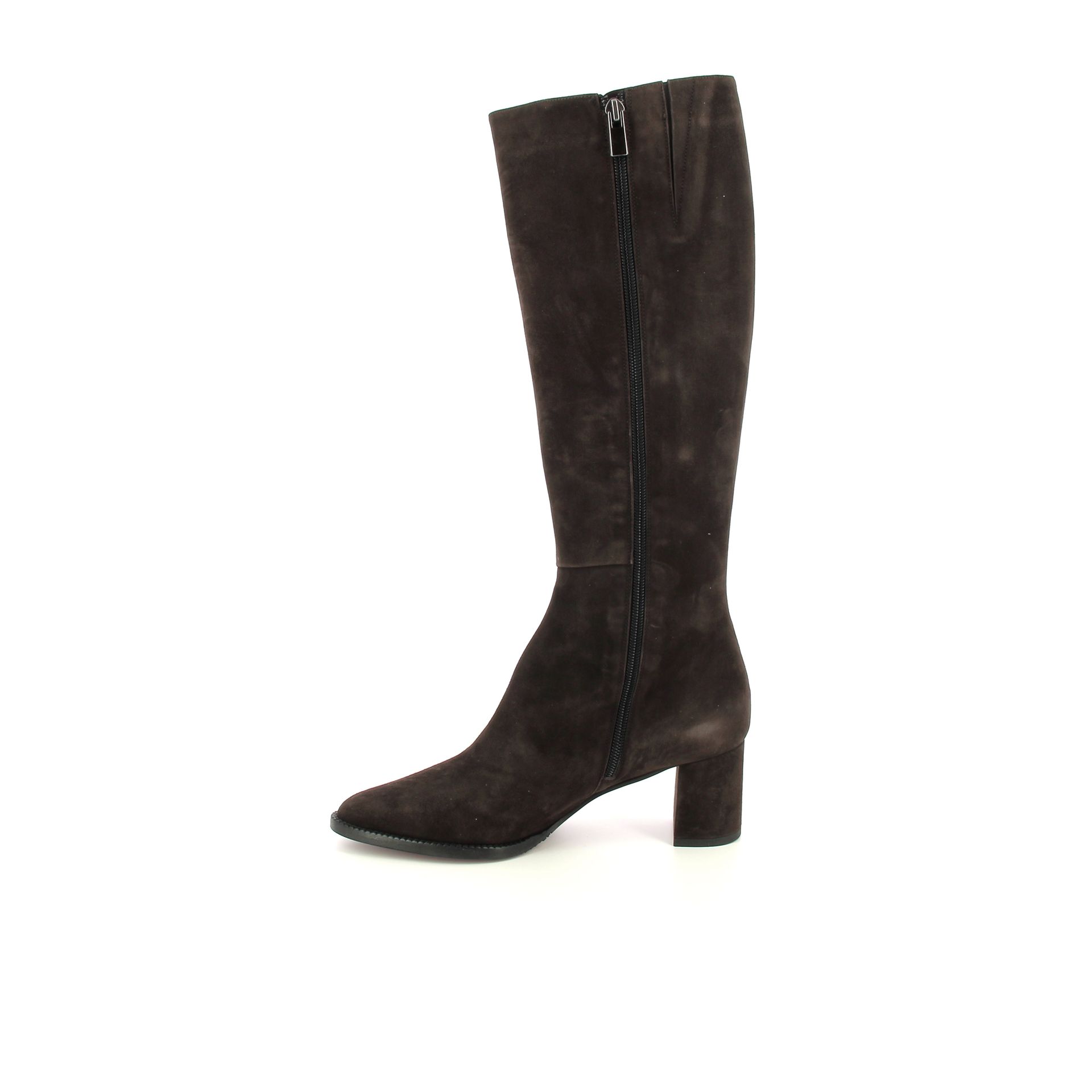 Giorgio M. Laars 258387 bruin