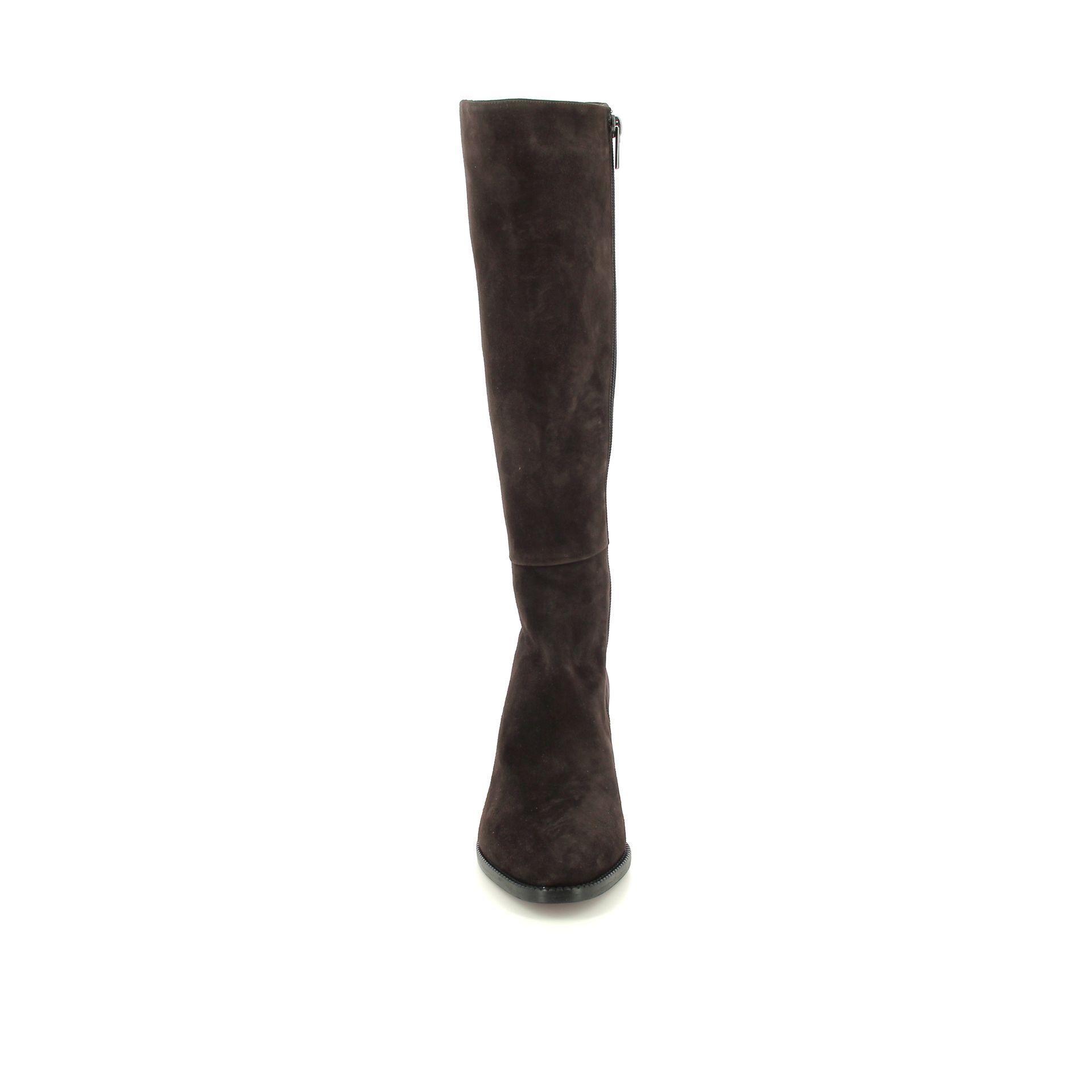 Giorgio M. Laars 258387 bruin