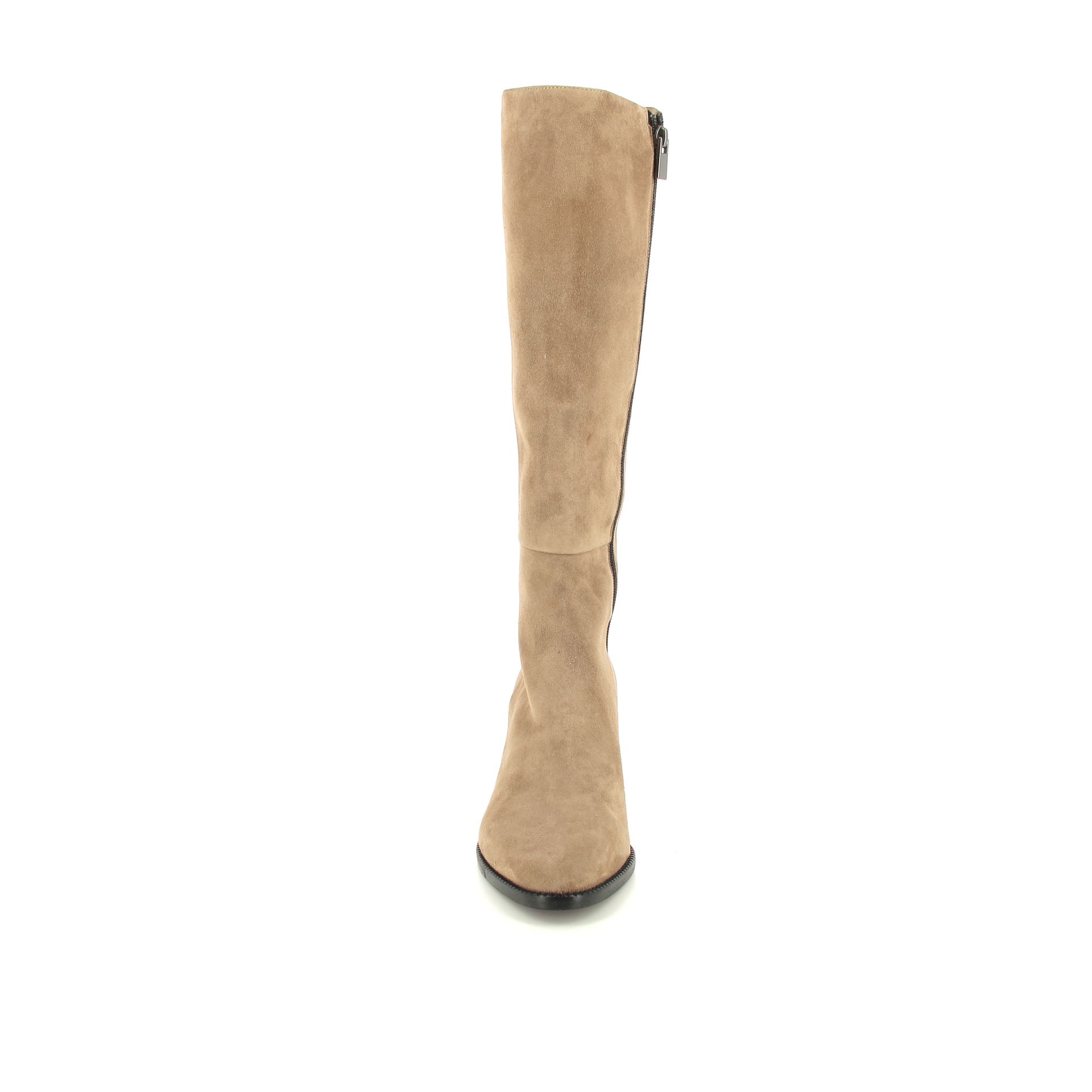 Giorgio M. Laars 258393 cognac