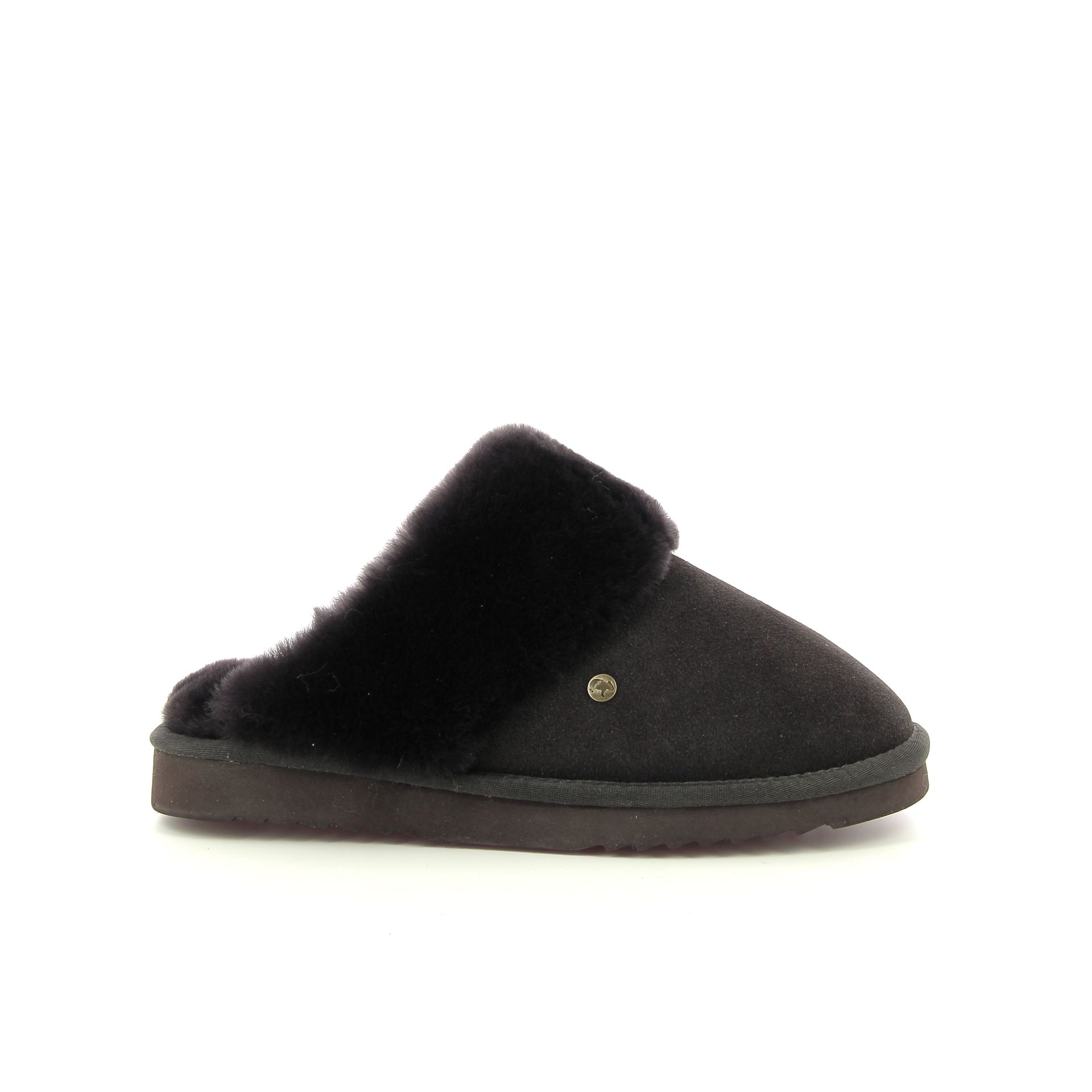 Warmbat Flurry 258438 bruin