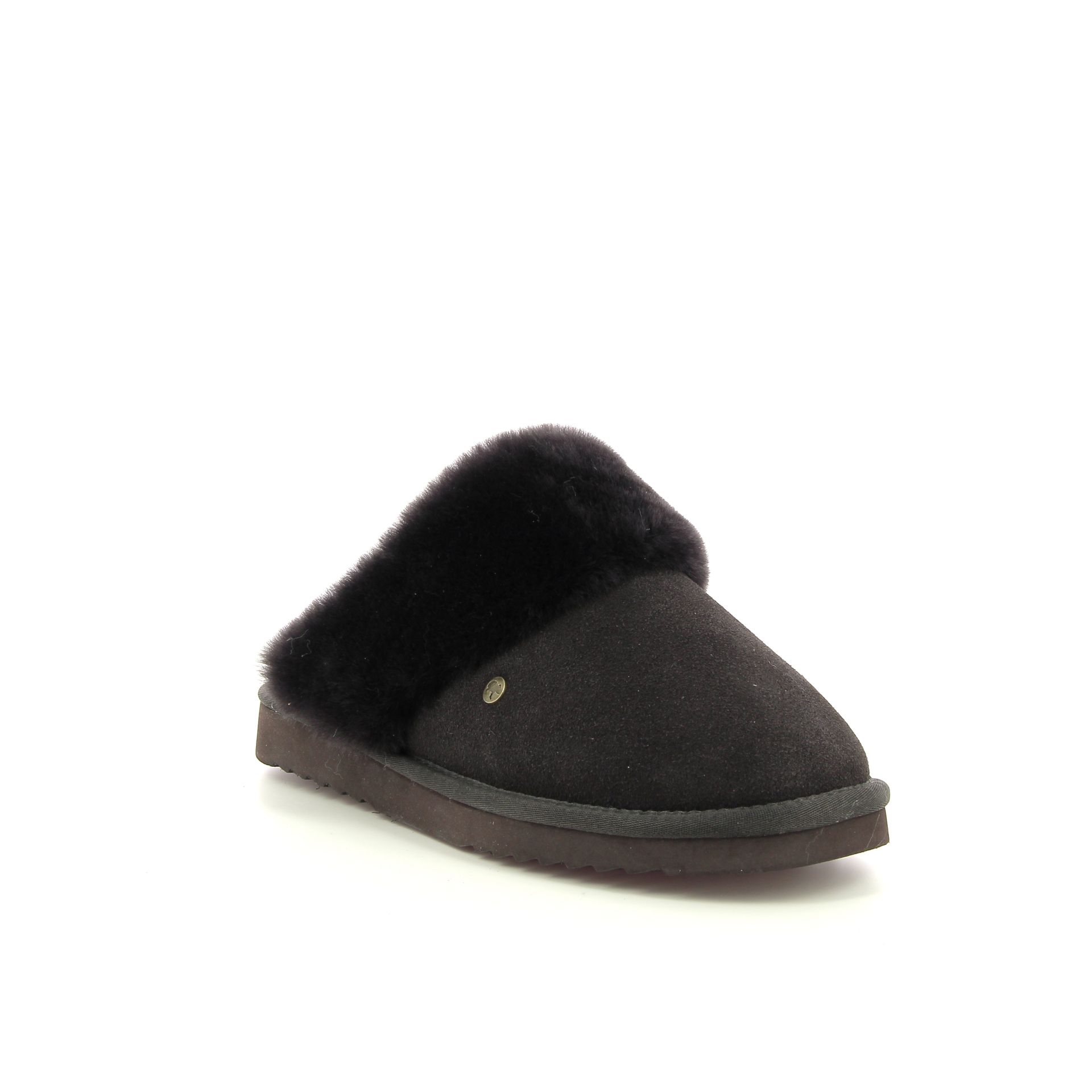 Warmbat Flurry 258438 bruin