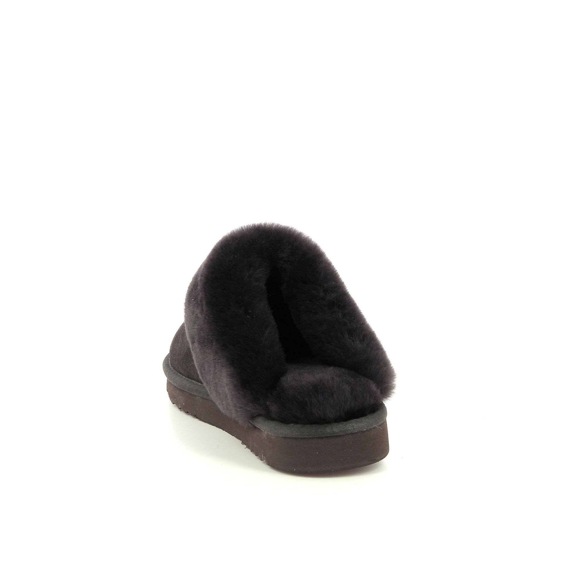 Warmbat Flurry 258438 bruin
