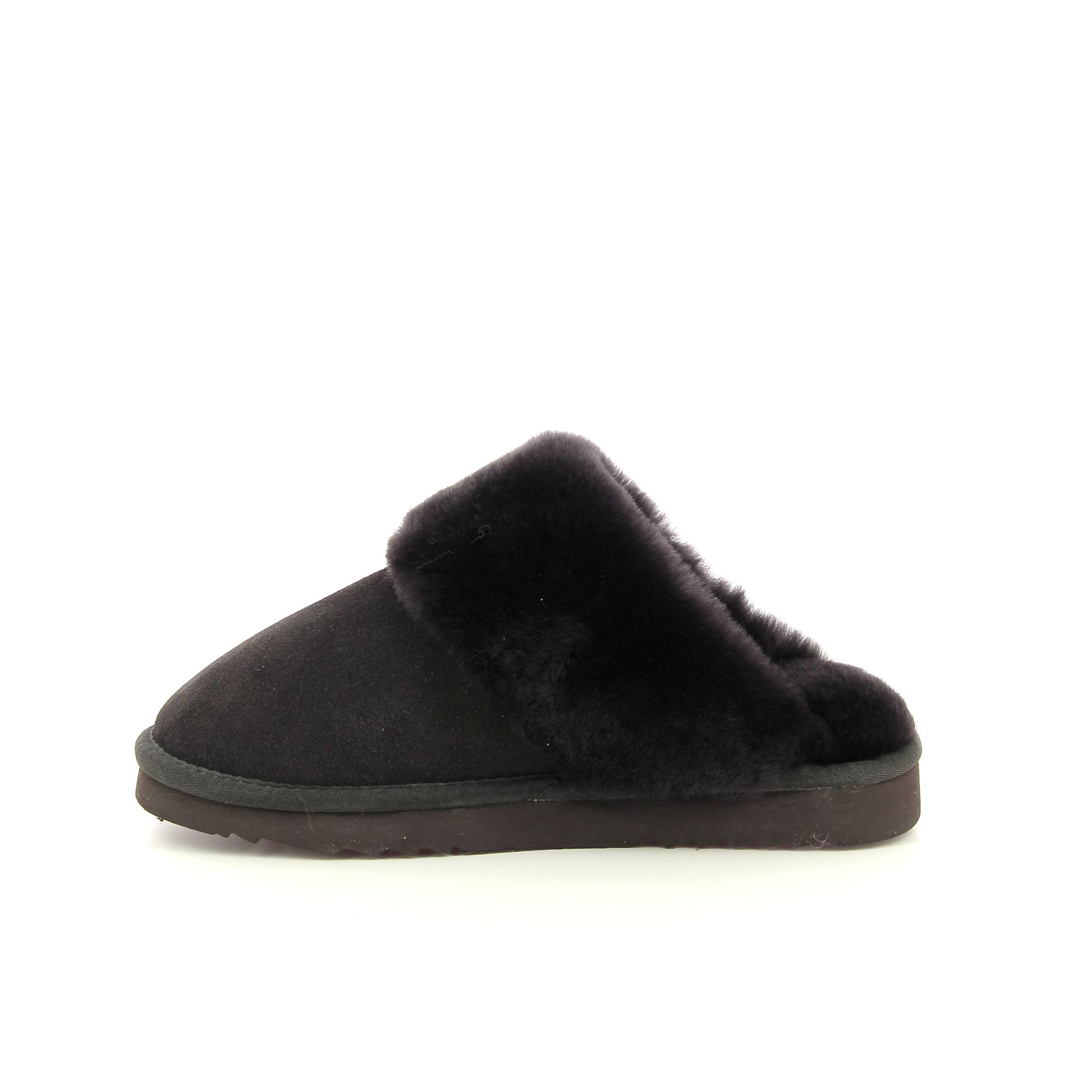 Warmbat Flurry 258438 bruin