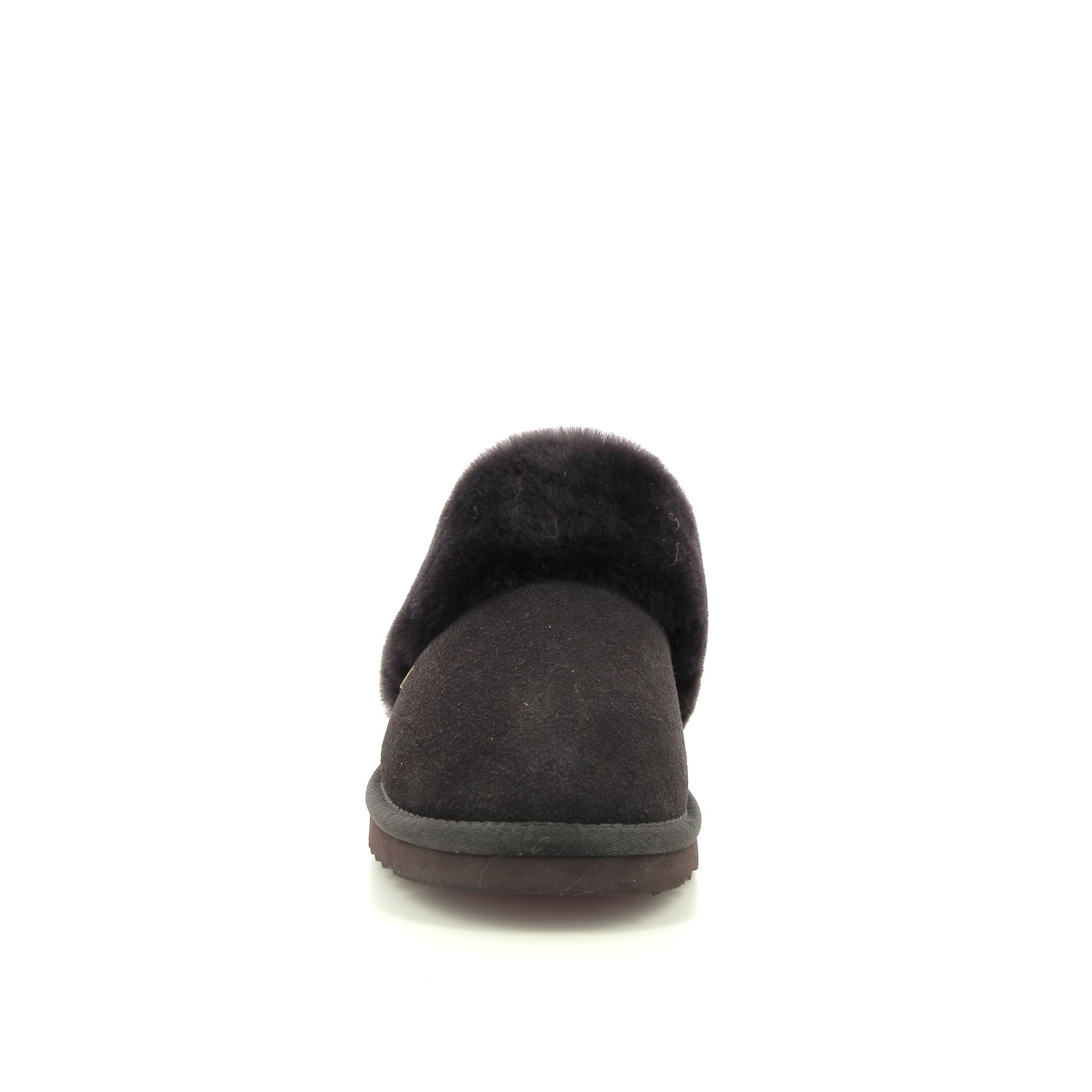 Warmbat Flurry 258438 bruin