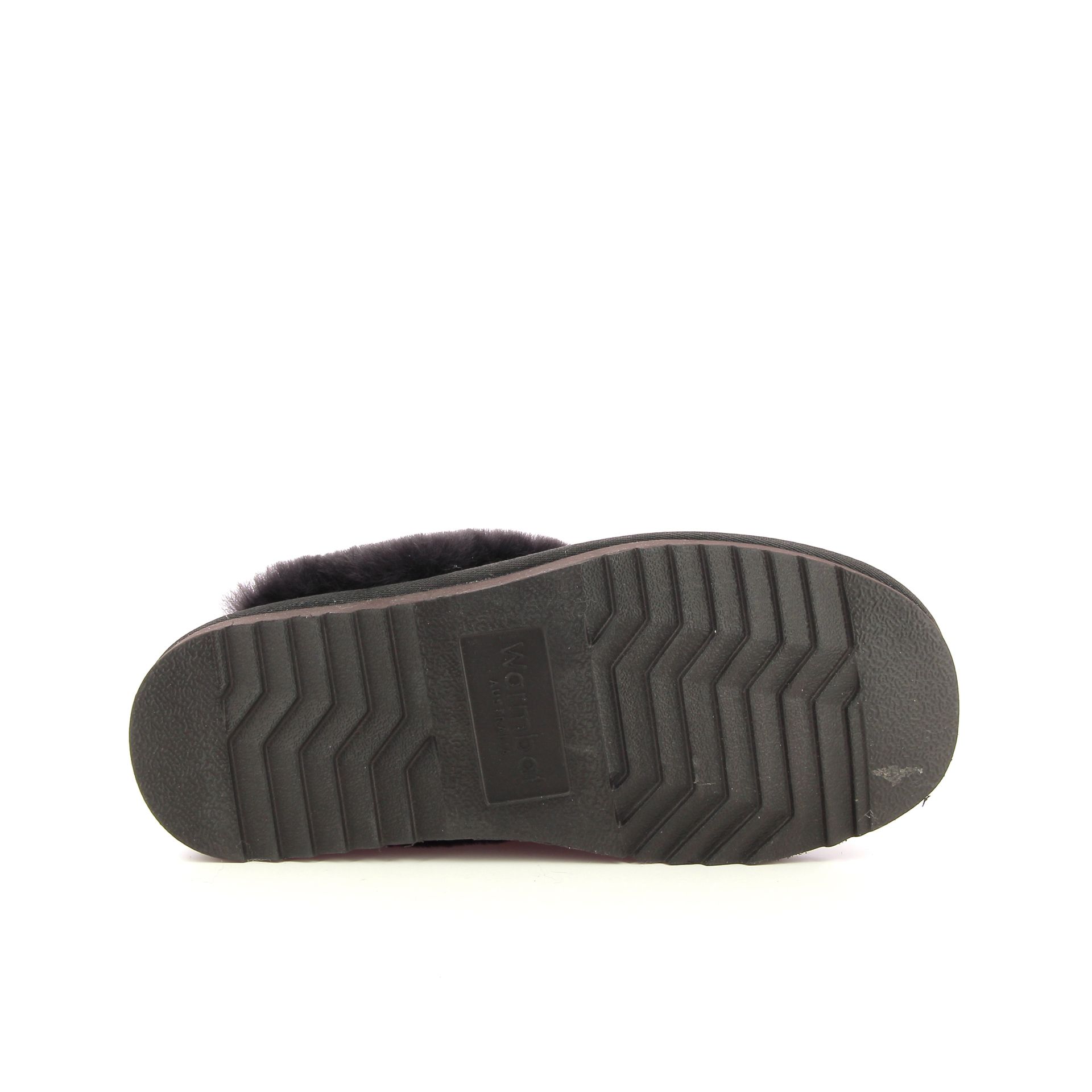 Warmbat Flurry 258438 bruin