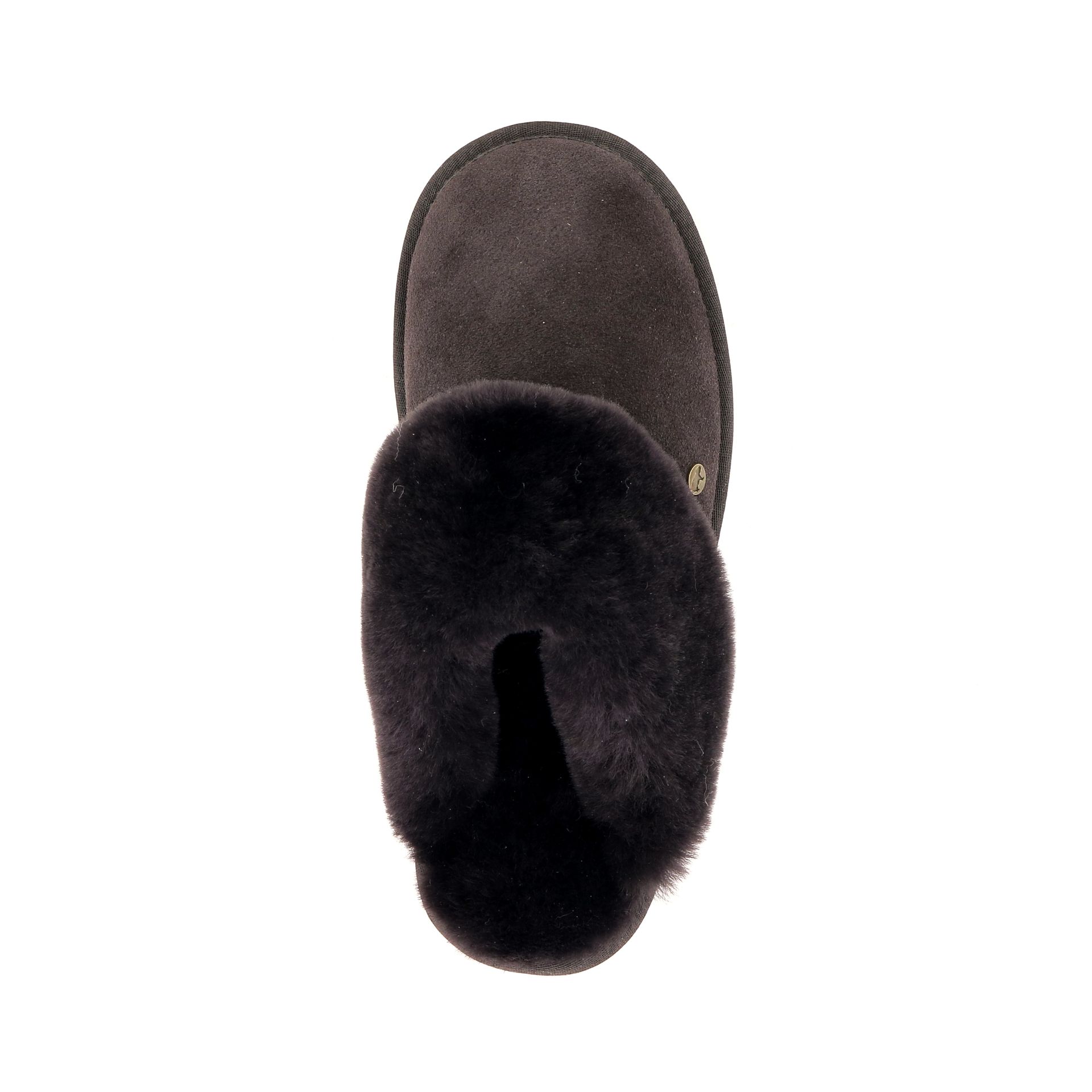 Warmbat Flurry 258438 bruin