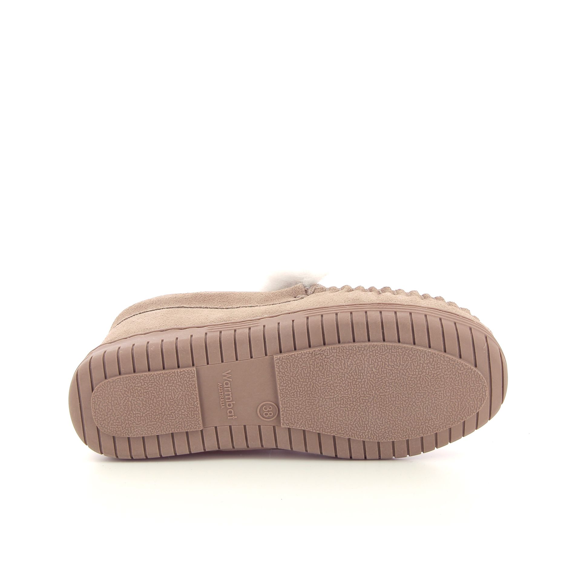 Warmbat Koala 258441 taupe