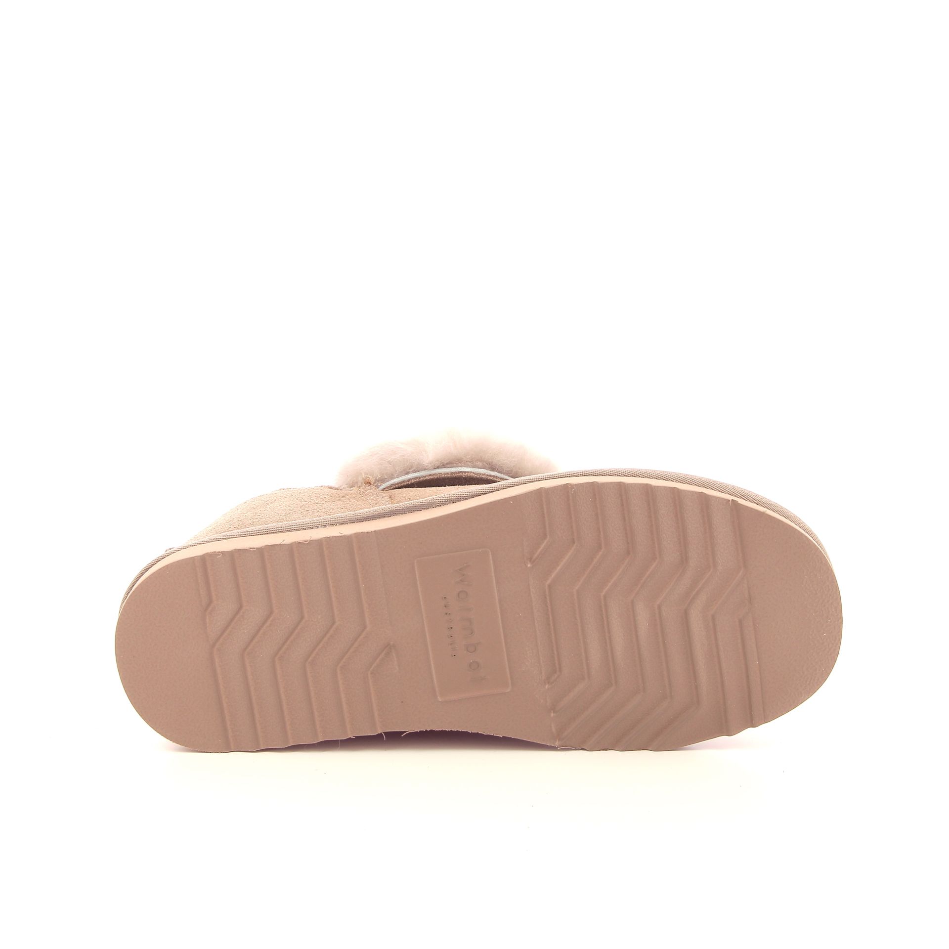 Warmbat Wiluna 258449 roze