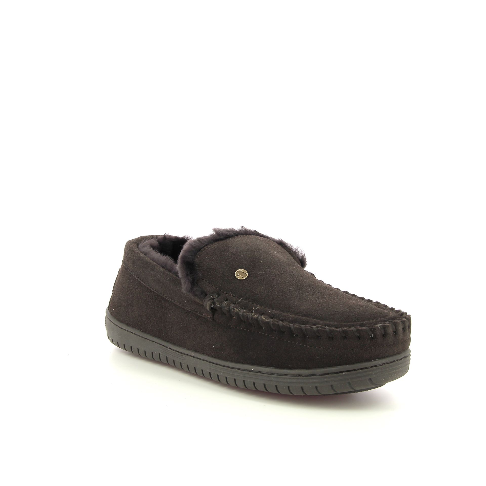 Warmbat Grizzly 258453 bruin