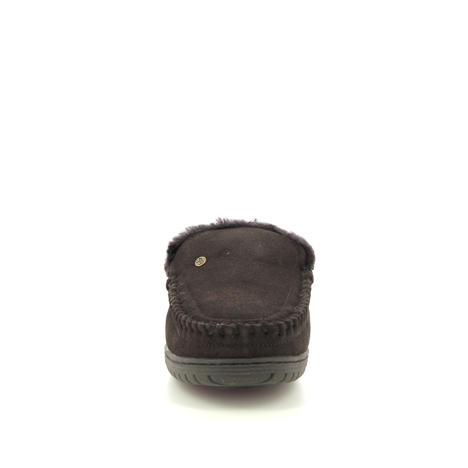 Warmbat Grizzly 258453 bruin