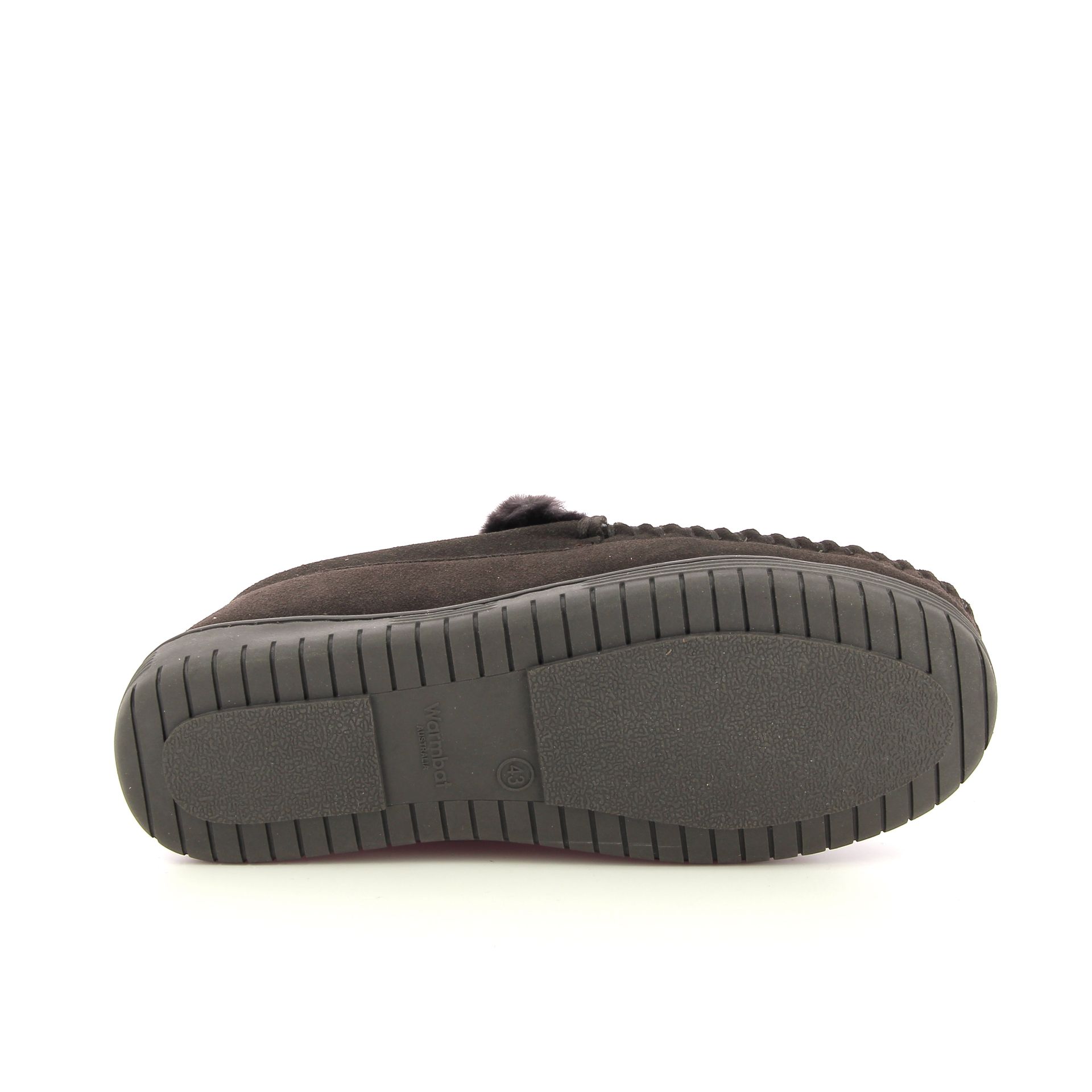 Warmbat Grizzly 258453 bruin