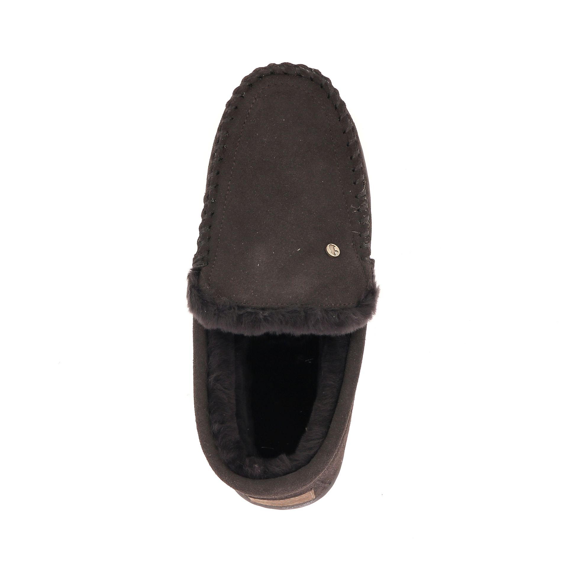 Warmbat Grizzly 258453 bruin