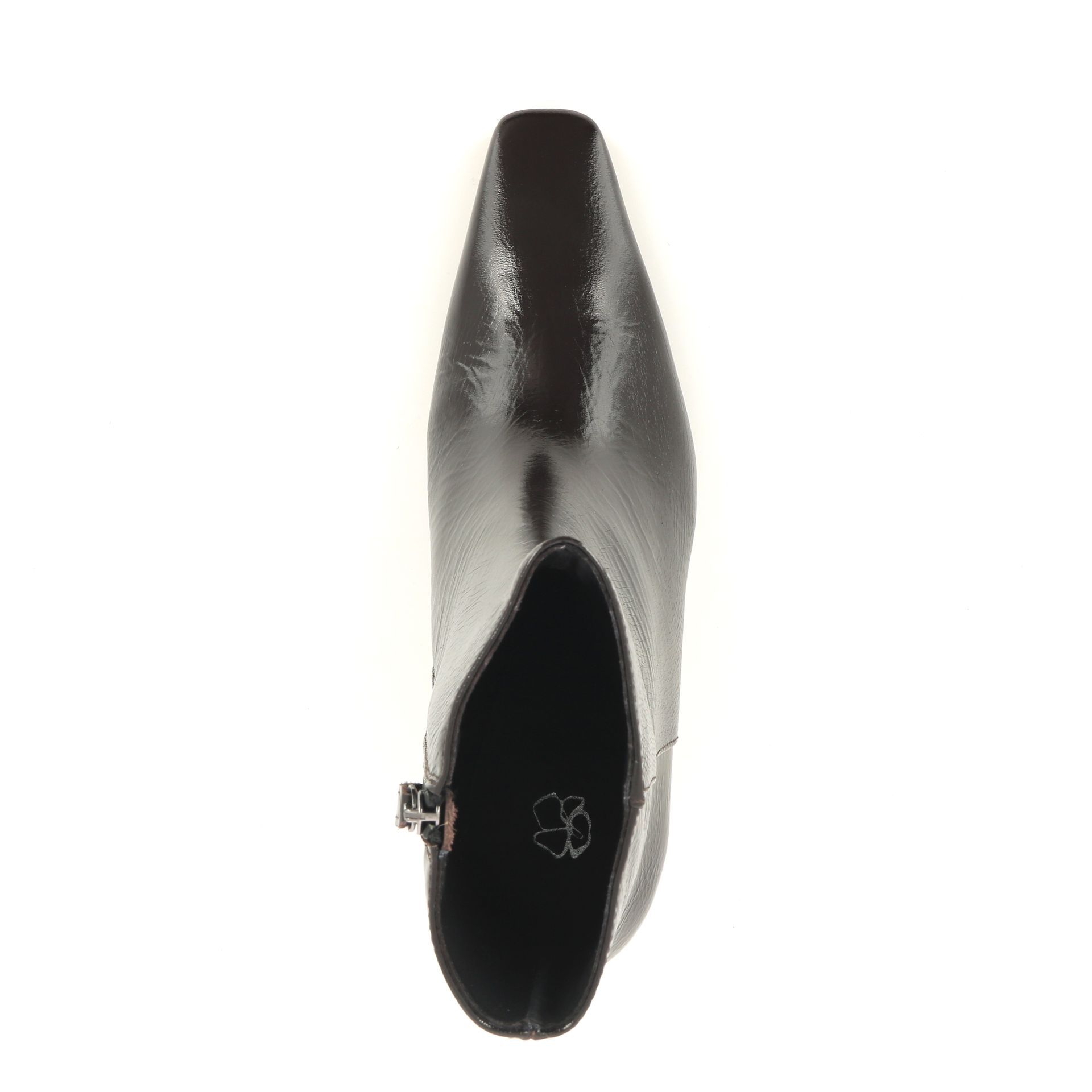 Odare Phaedra 258557 bruin