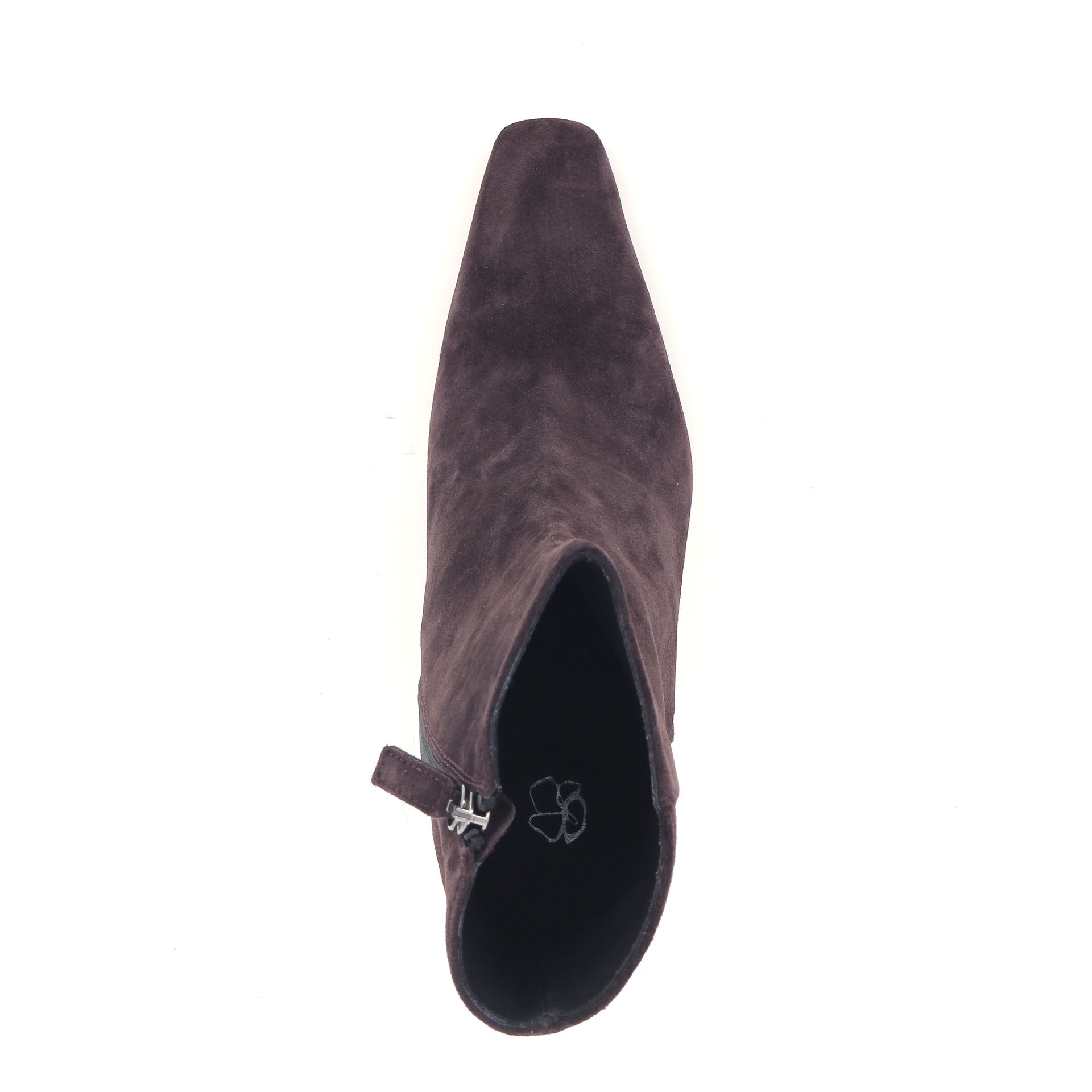 Odare Phaedra 258558 rood