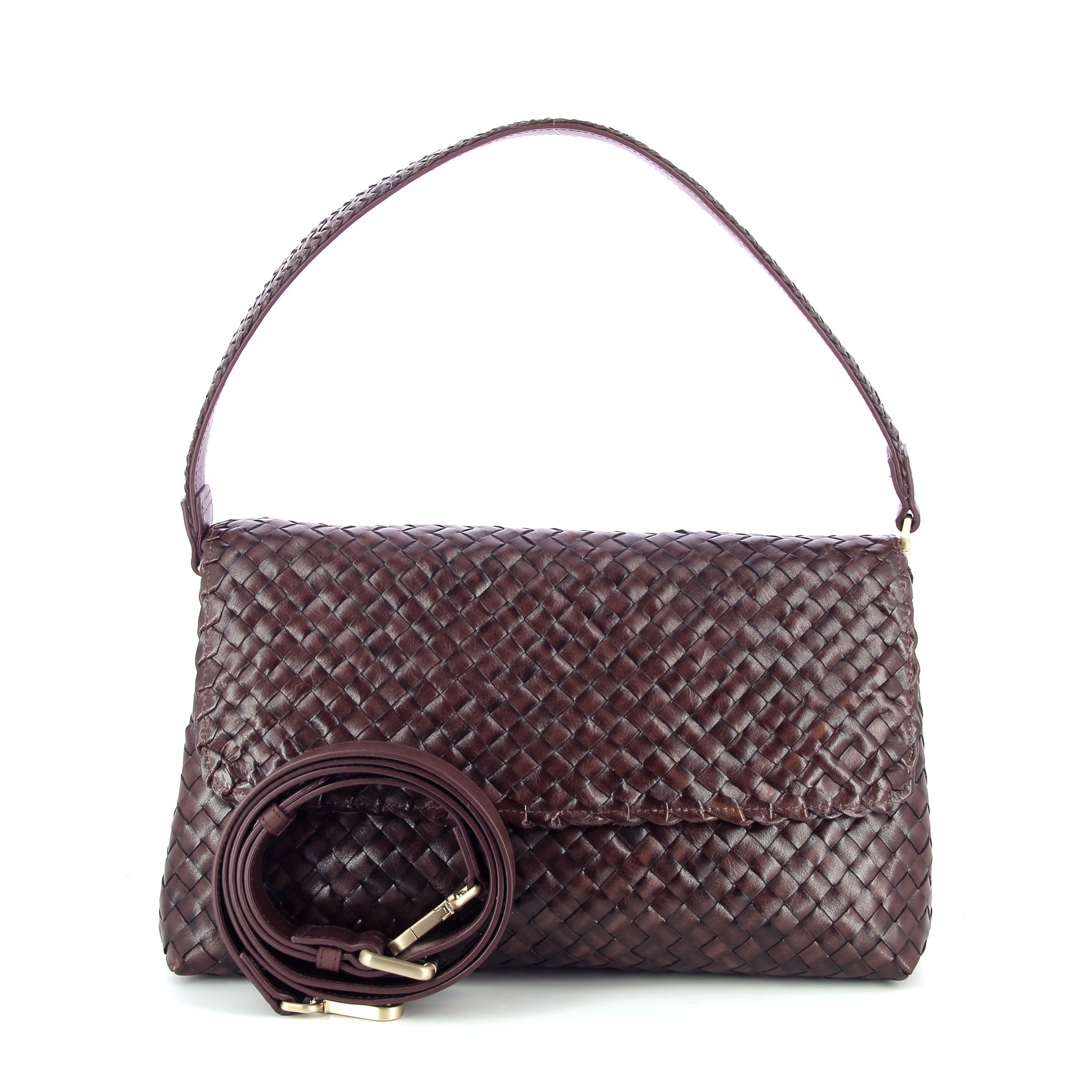 Allan K Caroline Large 258666 bruin