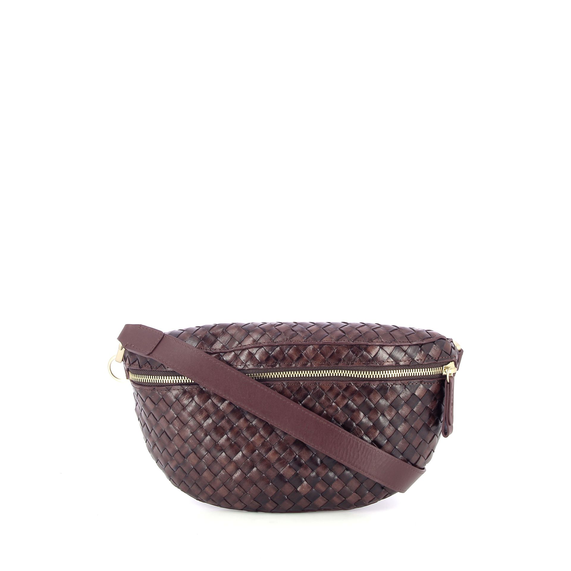 Allan K Lucy 258679 bruin