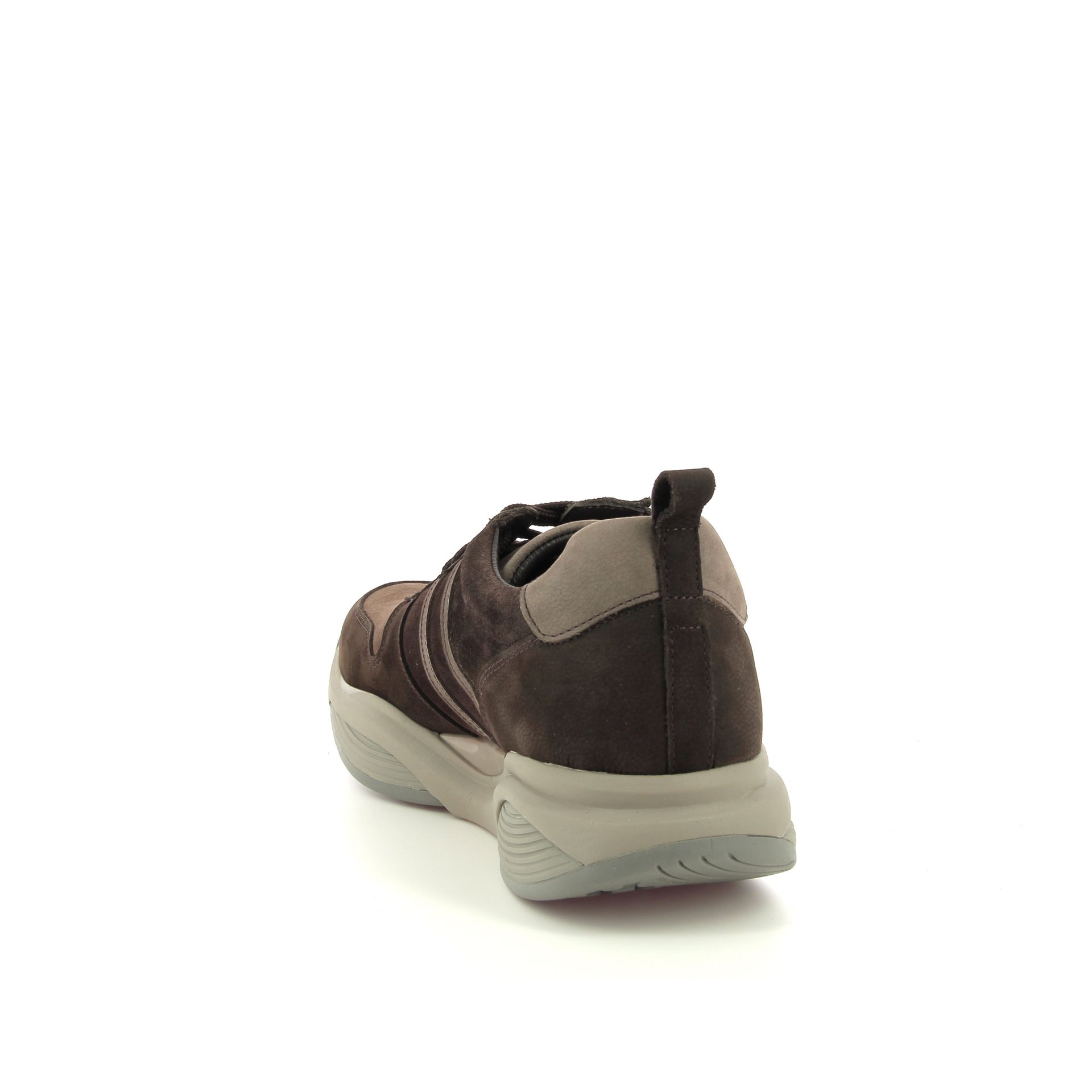 Xsensible SWX 258732 bruin