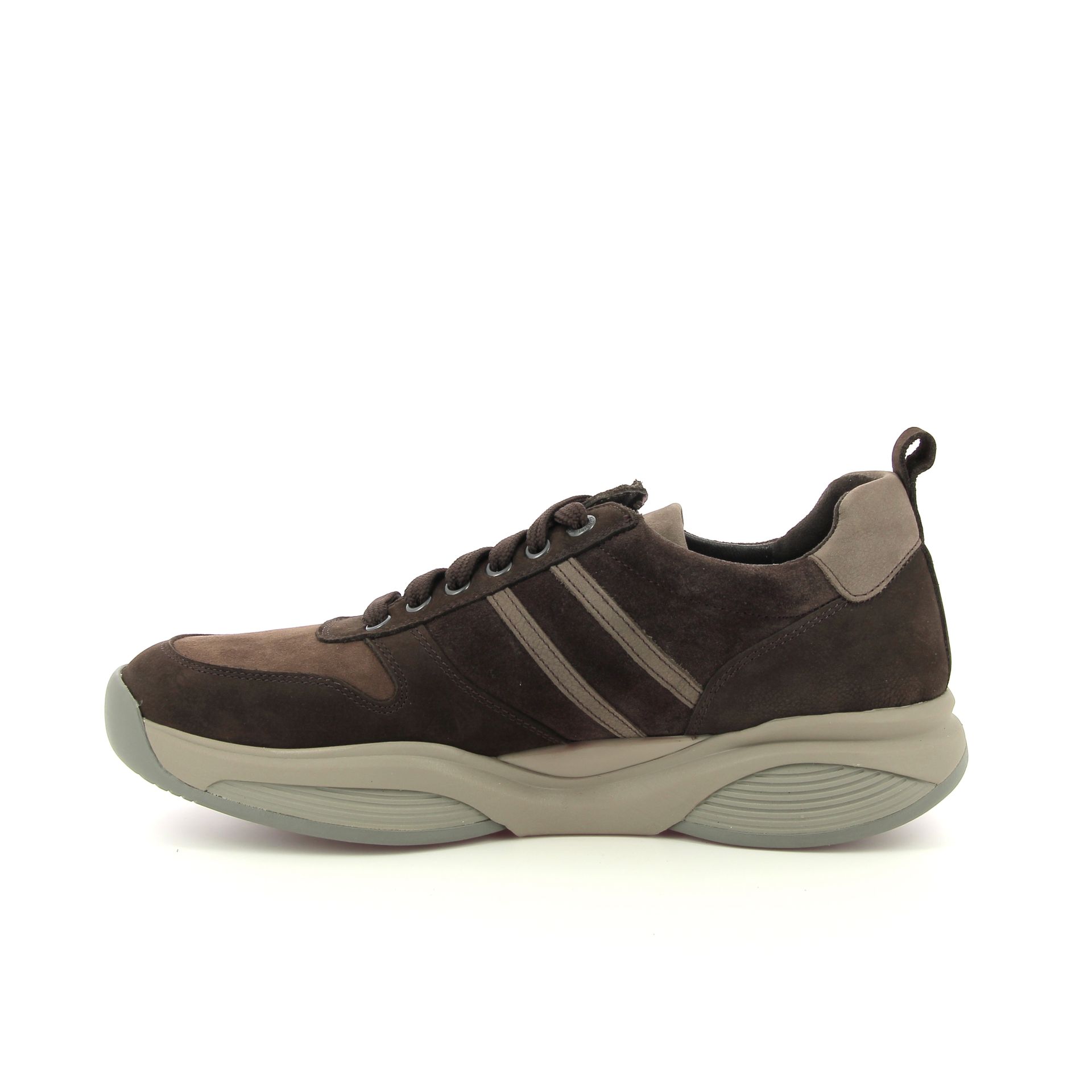Xsensible SWX 258732 bruin